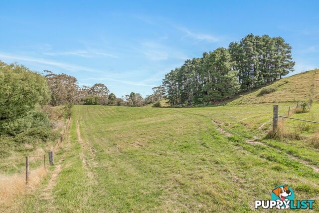 Lot 103 Old Bathurst Road SOUTH BOWENFELS NSW 2790