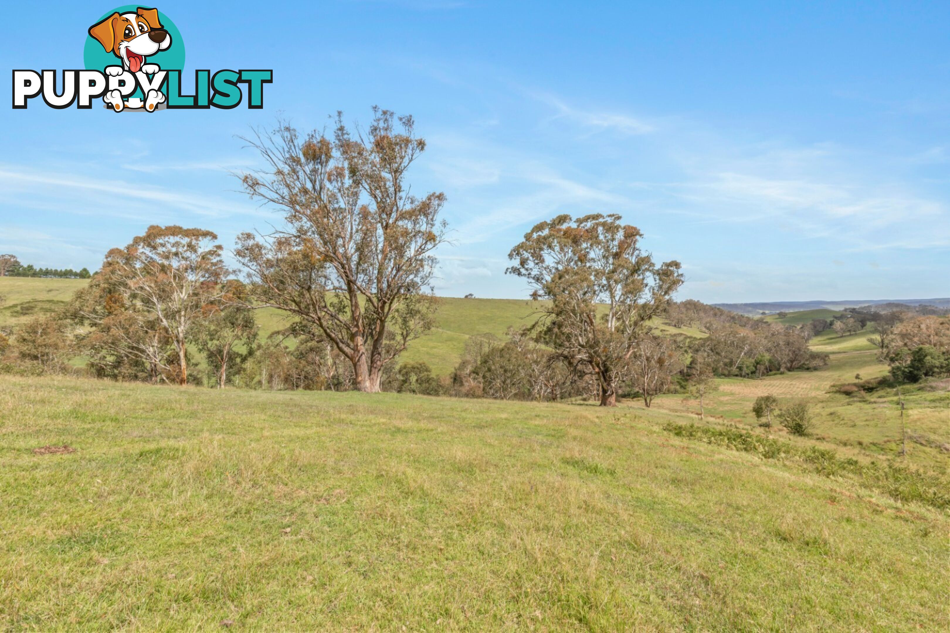 Lot 103 Old Bathurst Road SOUTH BOWENFELS NSW 2790