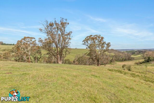 Lot 103 Old Bathurst Road SOUTH BOWENFELS NSW 2790