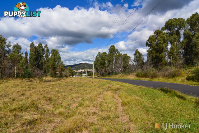 Lot 51/19 Ivatt Street LITHGOW NSW 2790