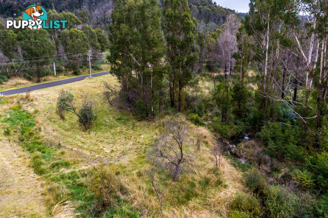 Lot 51/19 Ivatt Street LITHGOW NSW 2790