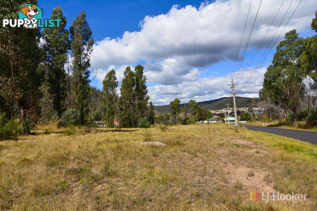 Lot 51/19 Ivatt Street LITHGOW NSW 2790