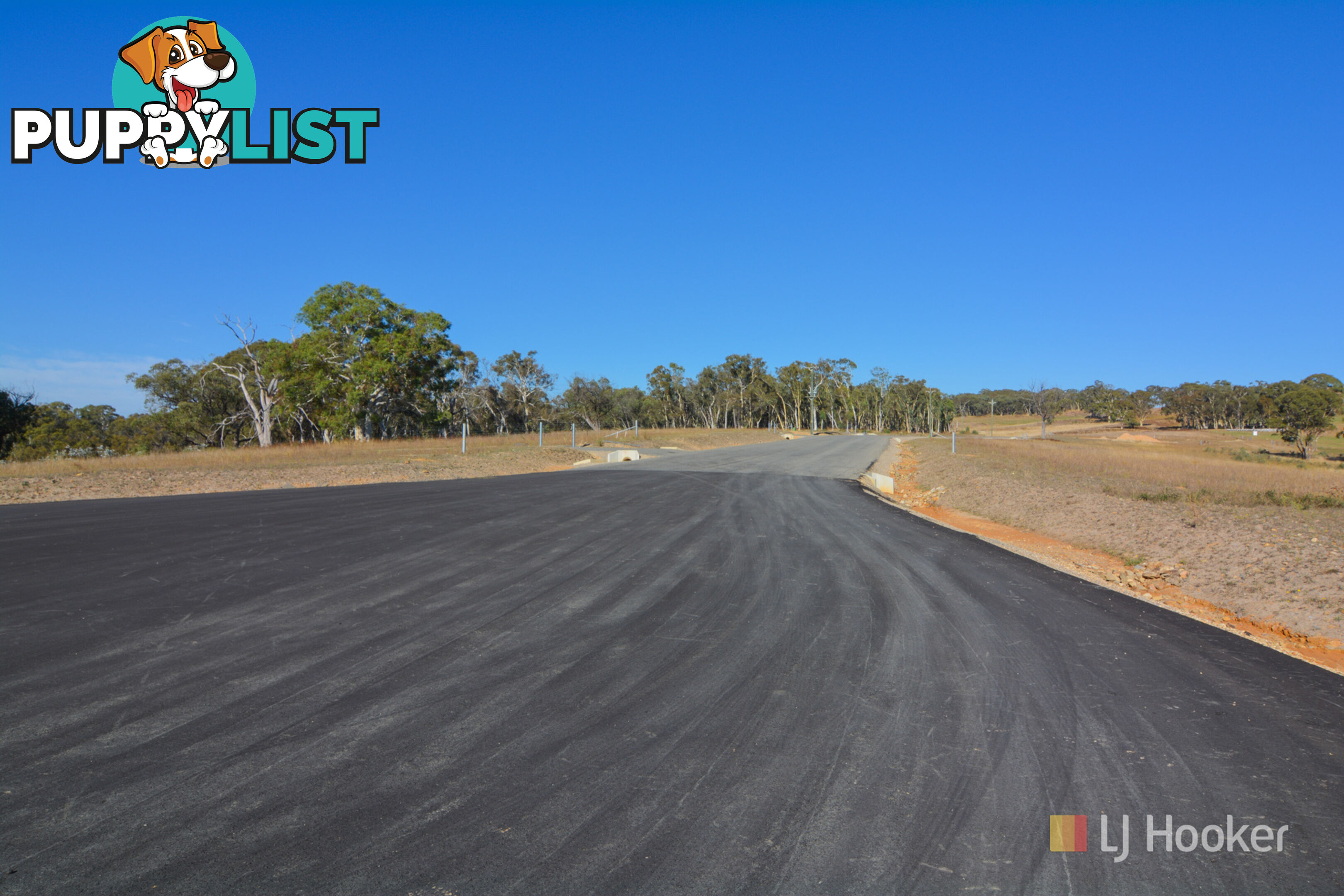 Lot 12 Portland Cullen Bullen Road PORTLAND NSW 2847