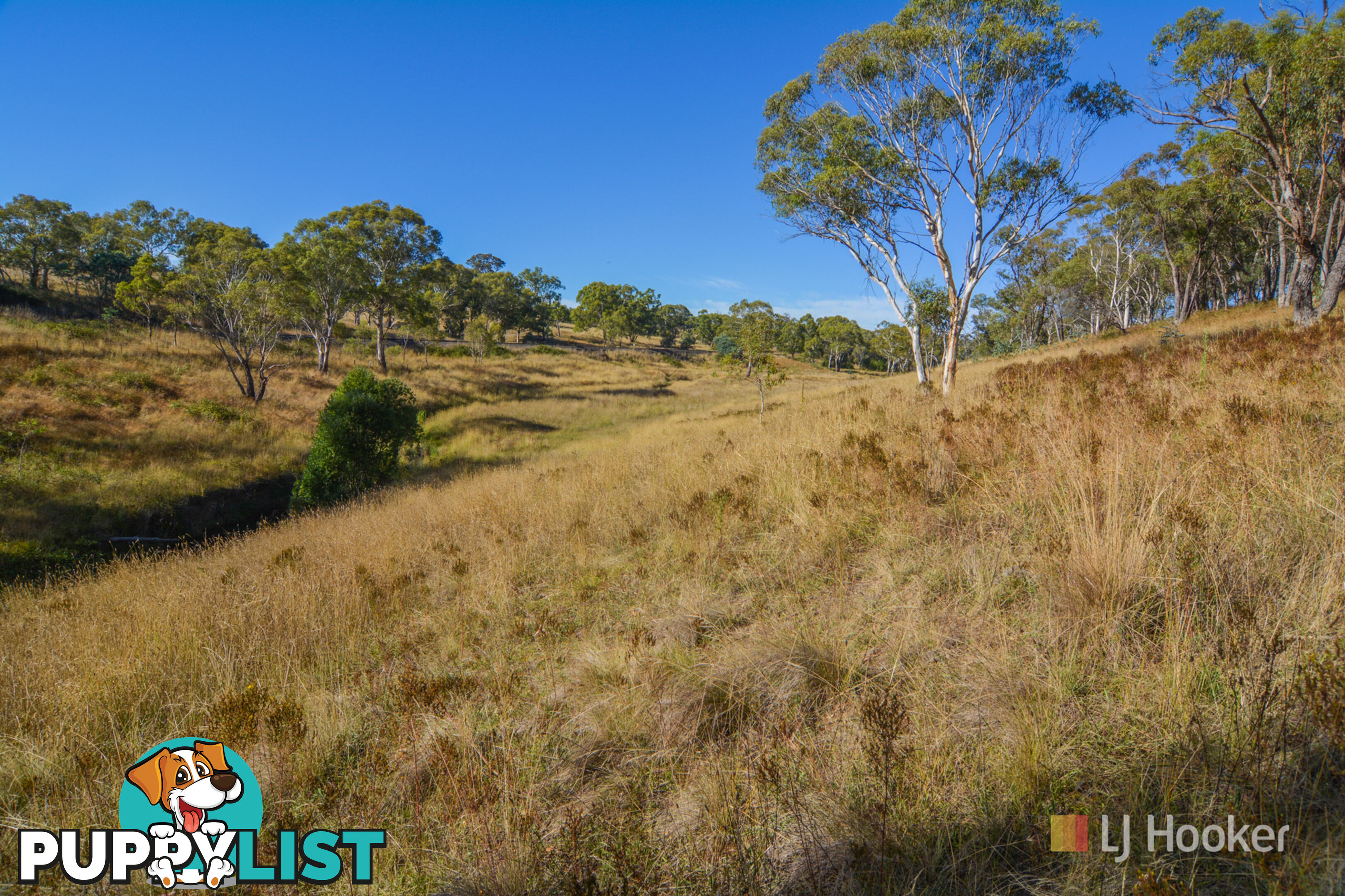 Lot 12 Portland Cullen Bullen Road PORTLAND NSW 2847