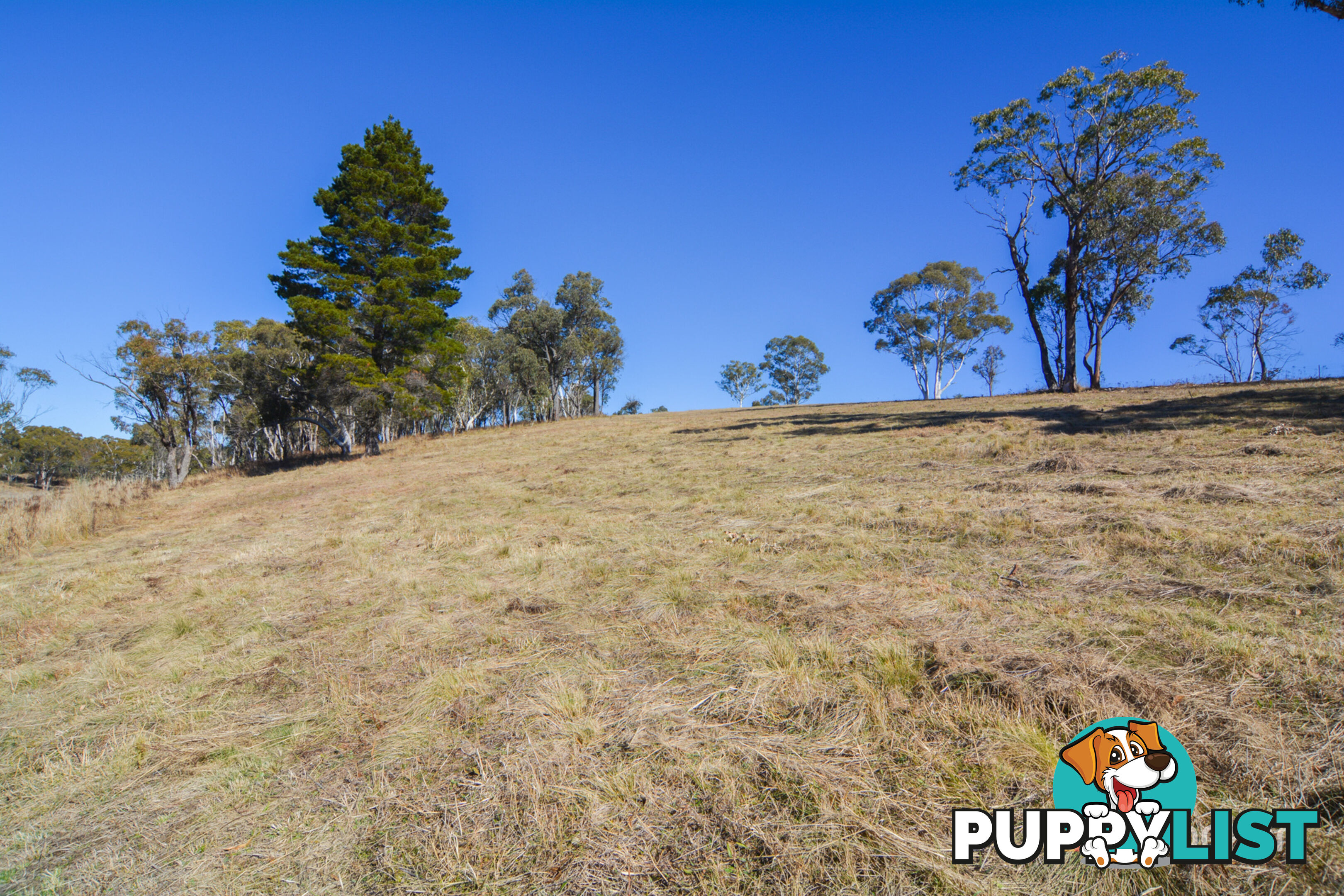 Lot 12 Portland Cullen Bullen Road PORTLAND NSW 2847