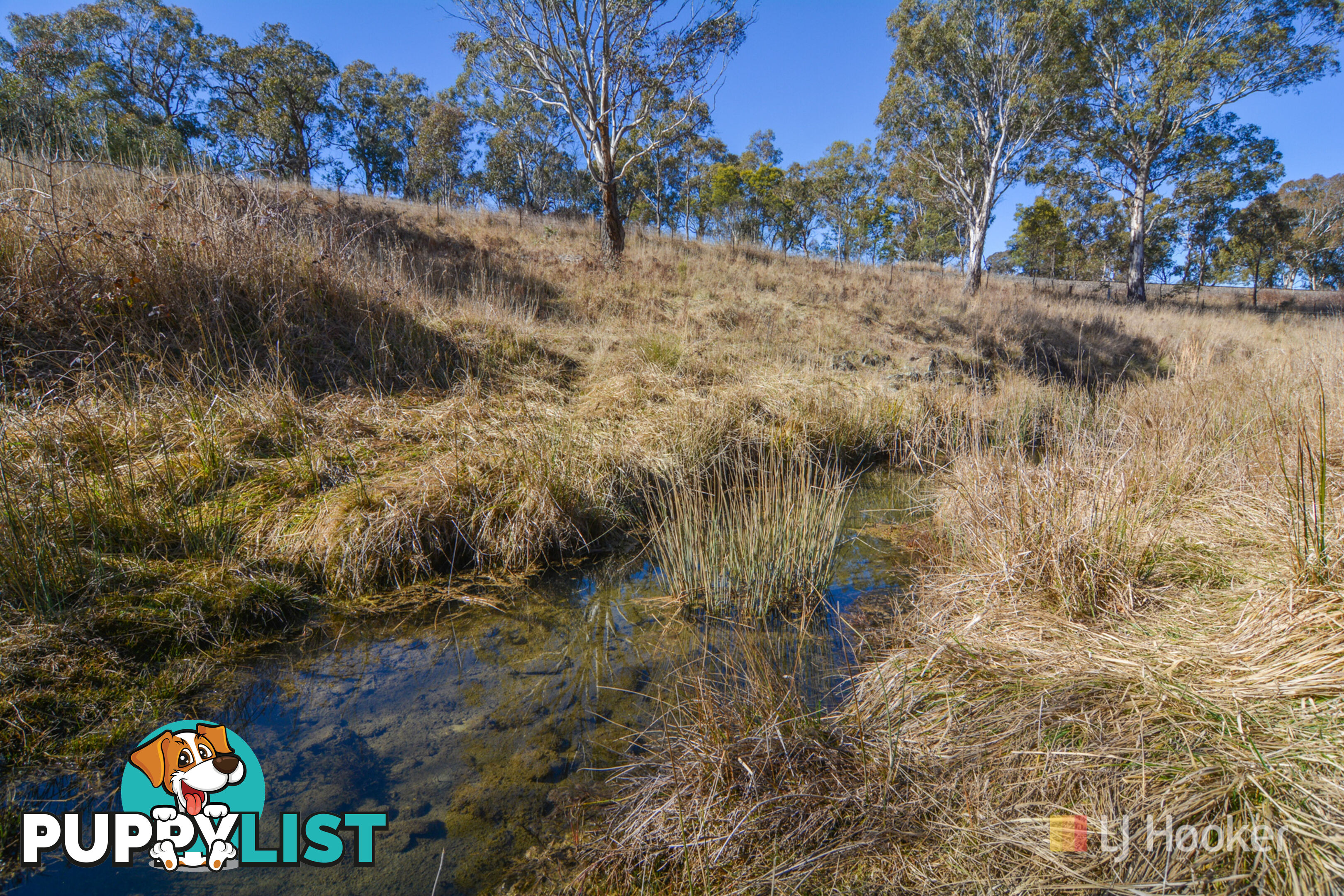 Lot 12 Portland Cullen Bullen Road PORTLAND NSW 2847