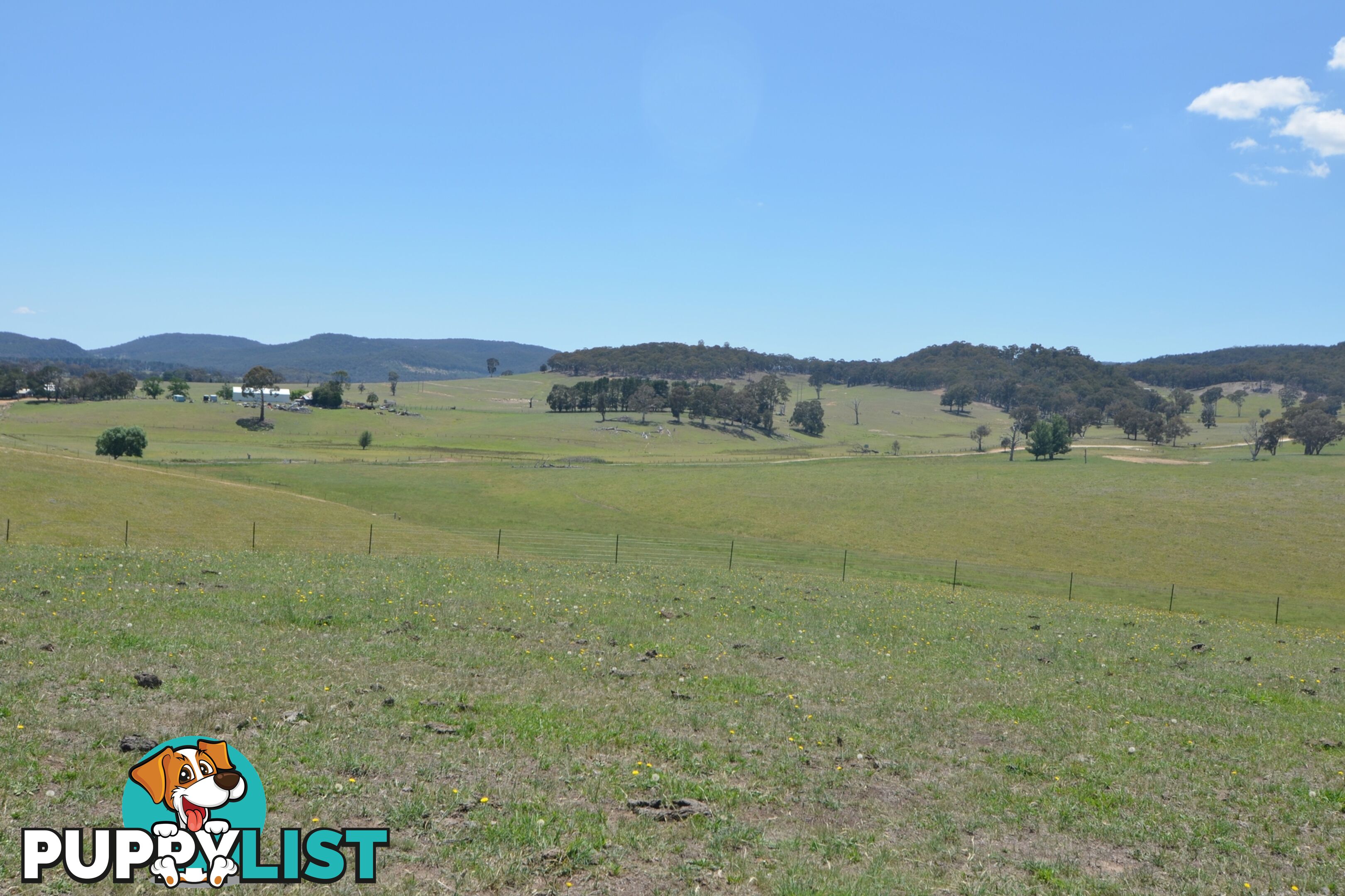 Lot 15 Back Cullen Road PORTLAND NSW 2847