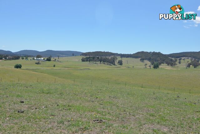 Lot 15 Back Cullen Road PORTLAND NSW 2847