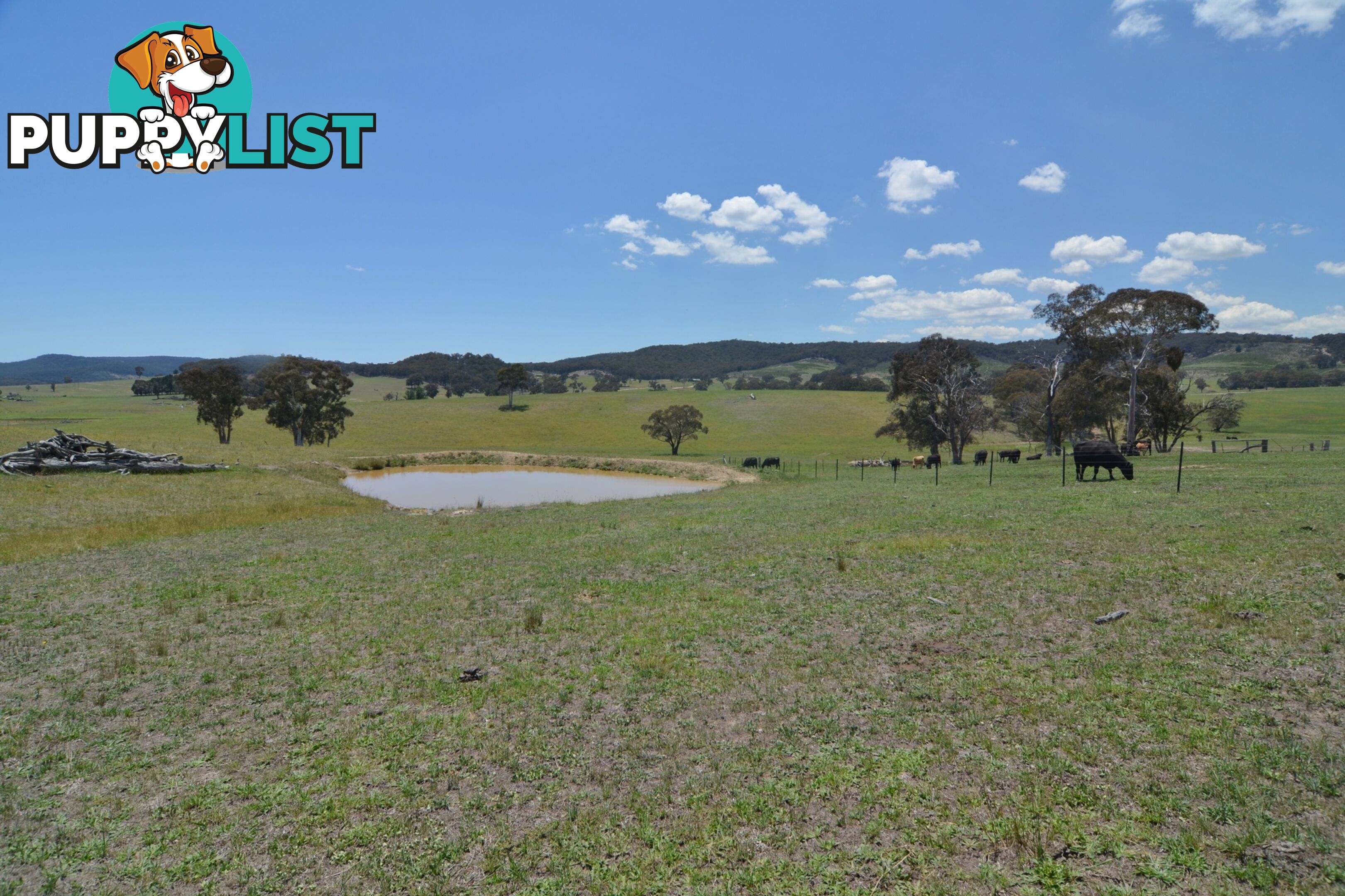 Lot 15 Back Cullen Road PORTLAND NSW 2847