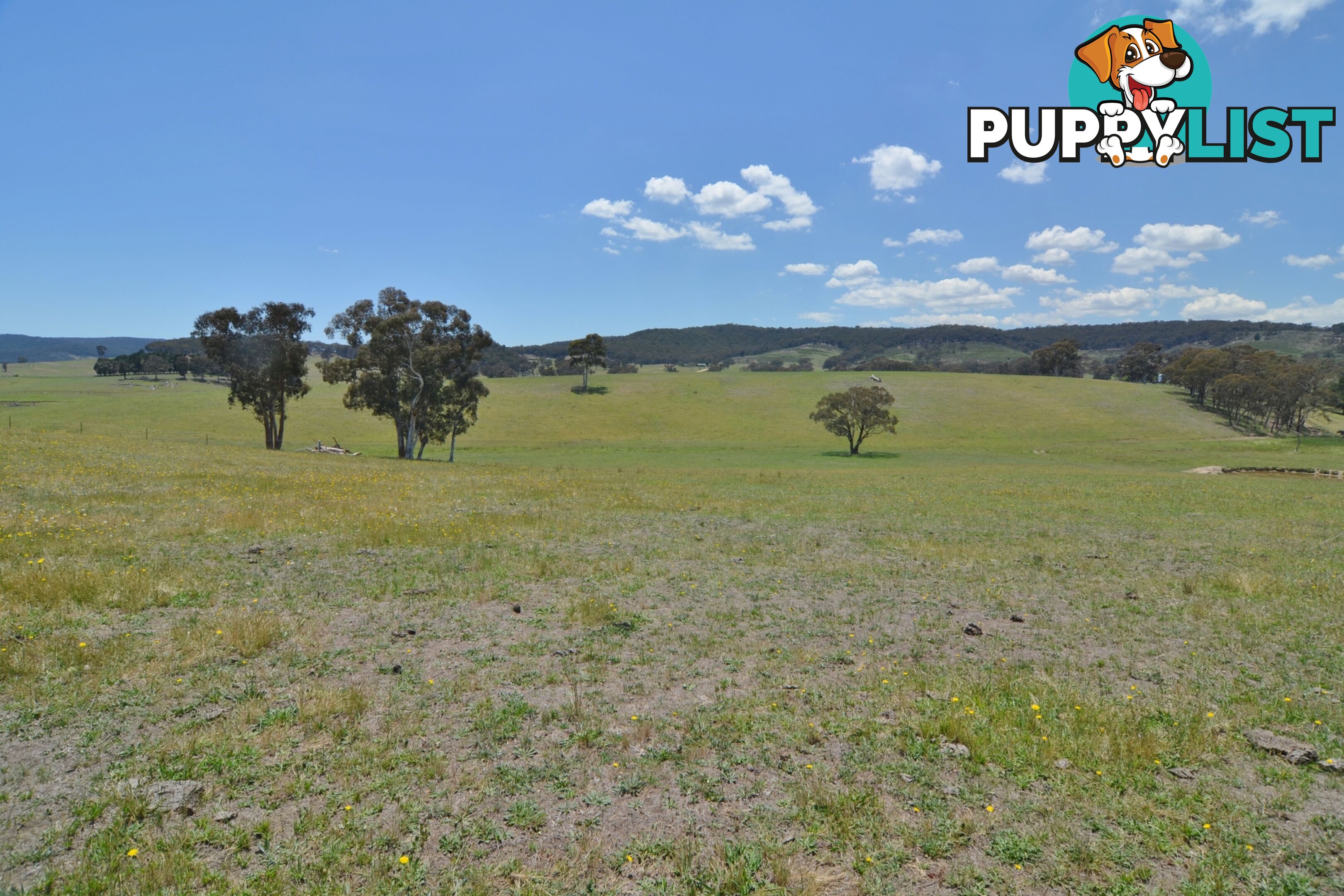 Lot 15 Back Cullen Road PORTLAND NSW 2847