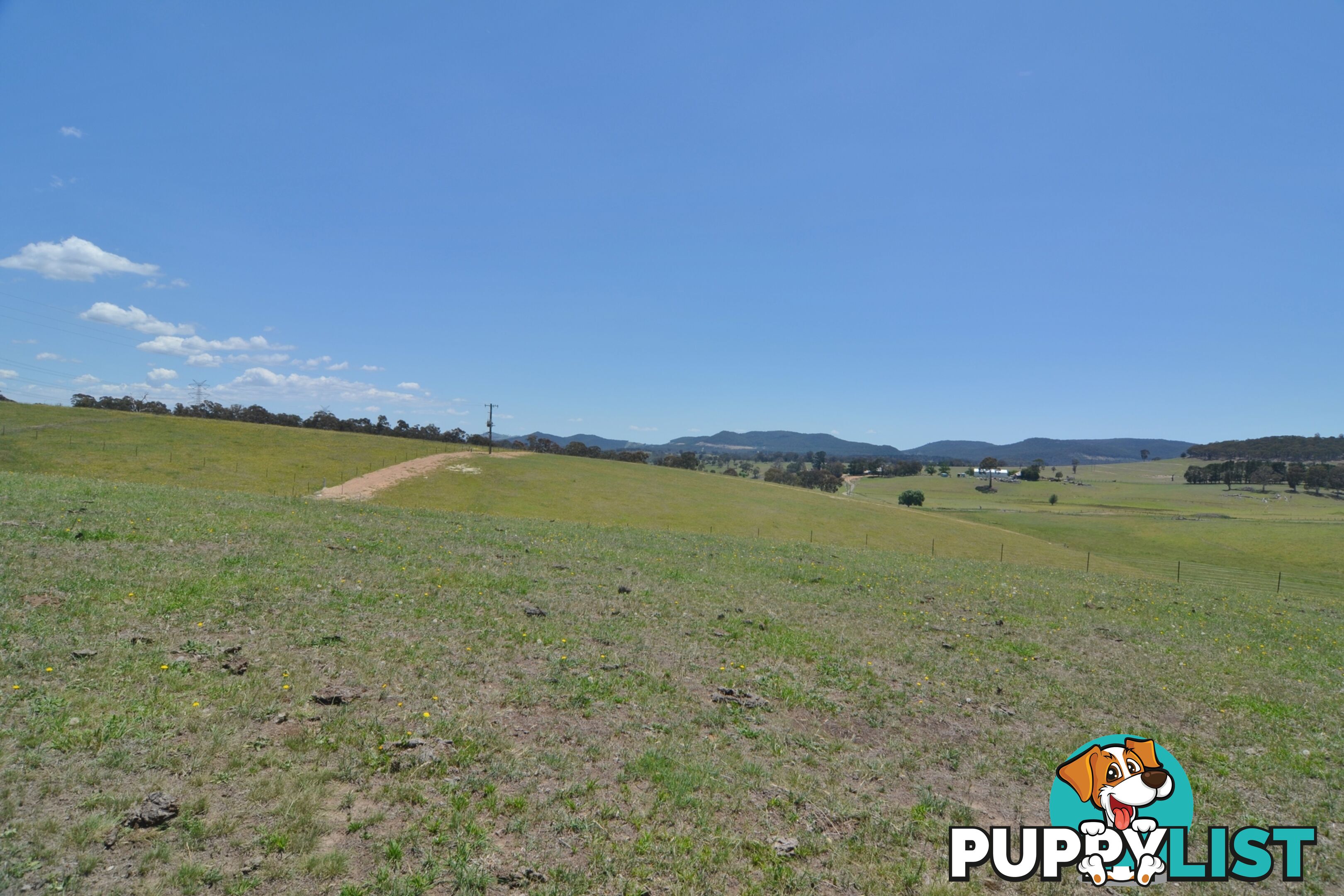 Lot 15 Back Cullen Road PORTLAND NSW 2847