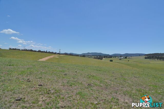 Lot 15 Back Cullen Road PORTLAND NSW 2847