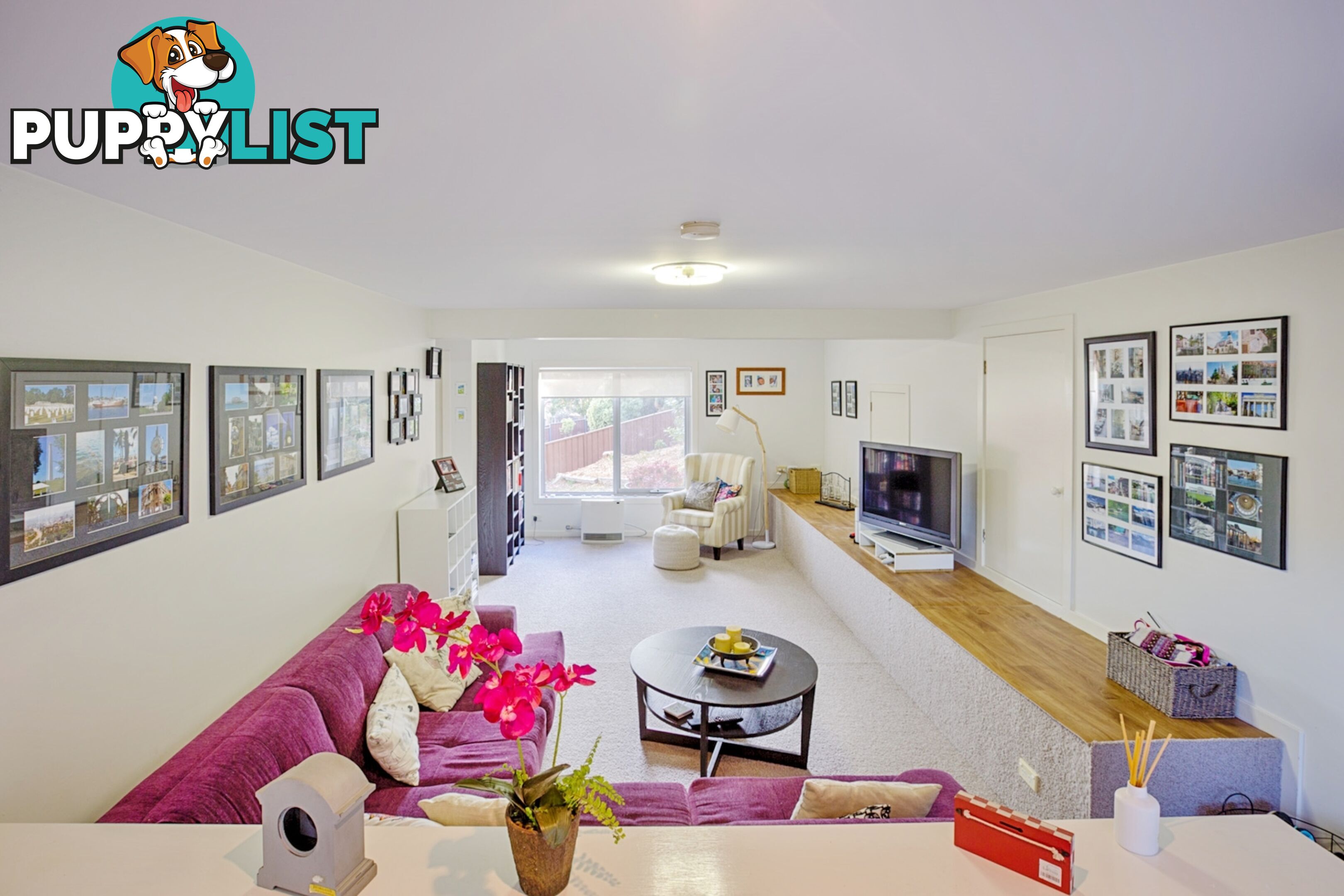 17 Blaxland Street LITHGOW NSW 2790