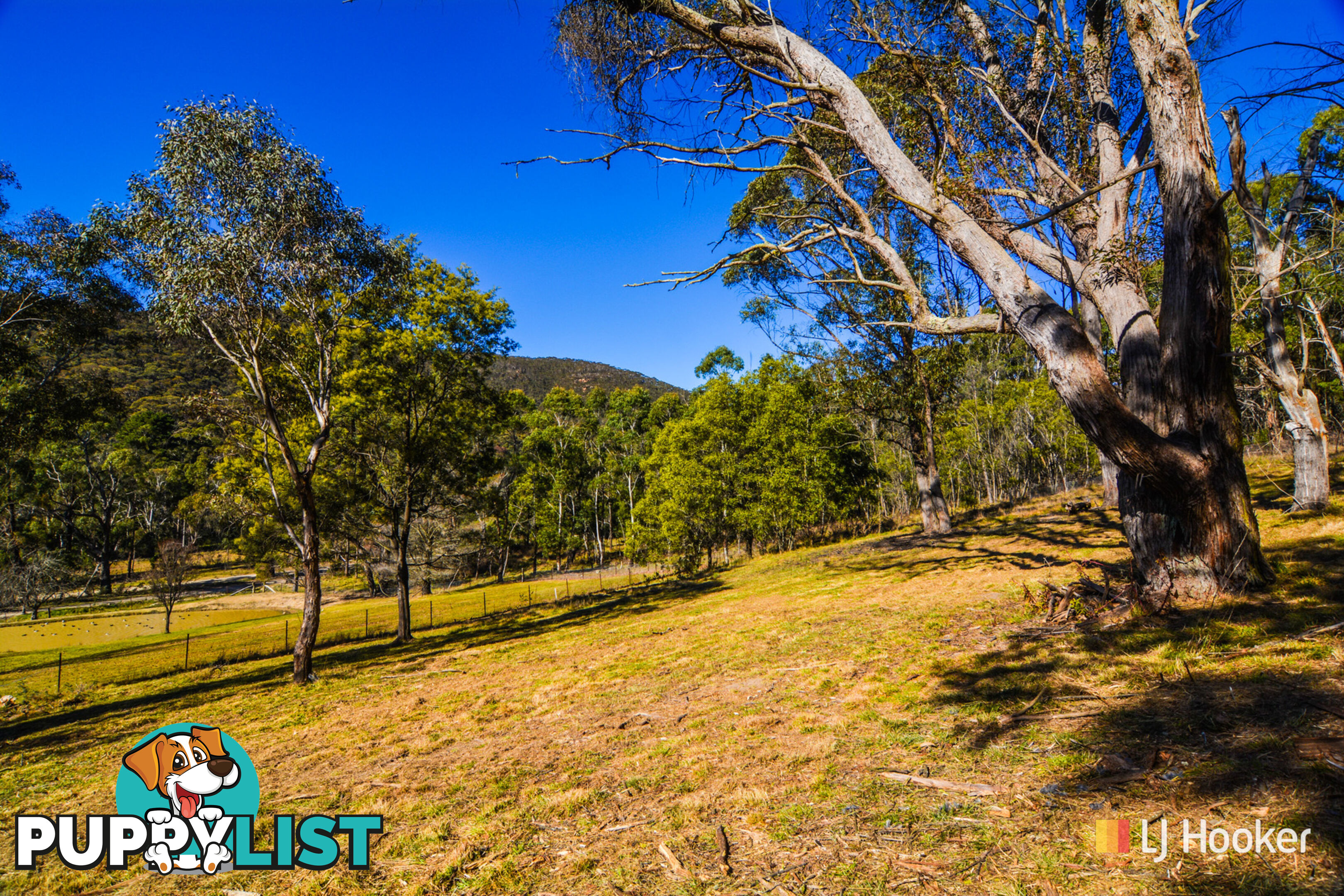 1 Hassans Walls Road LITHGOW NSW 2790