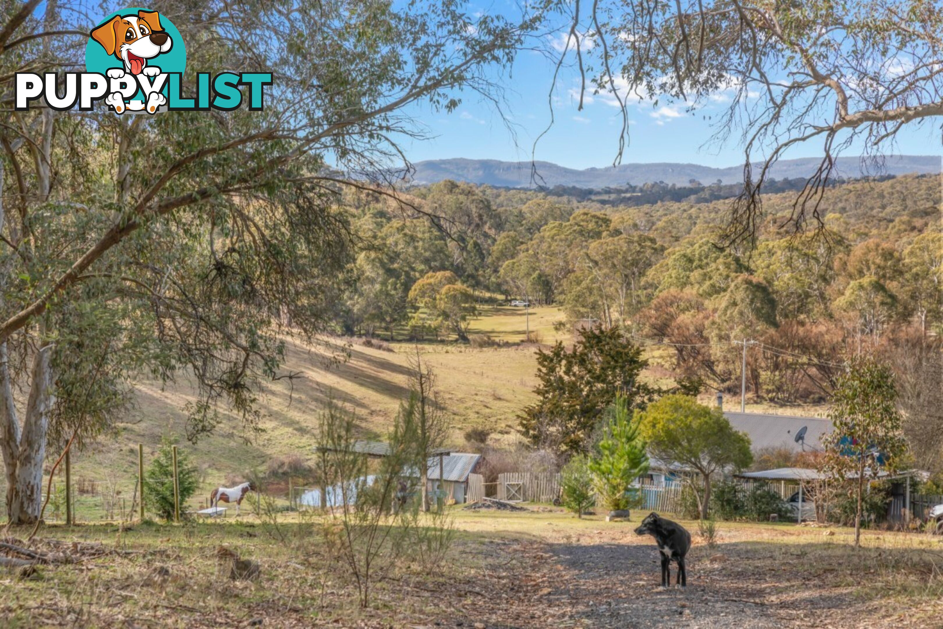 166 Williwa Creek Road PORTLAND NSW 2847