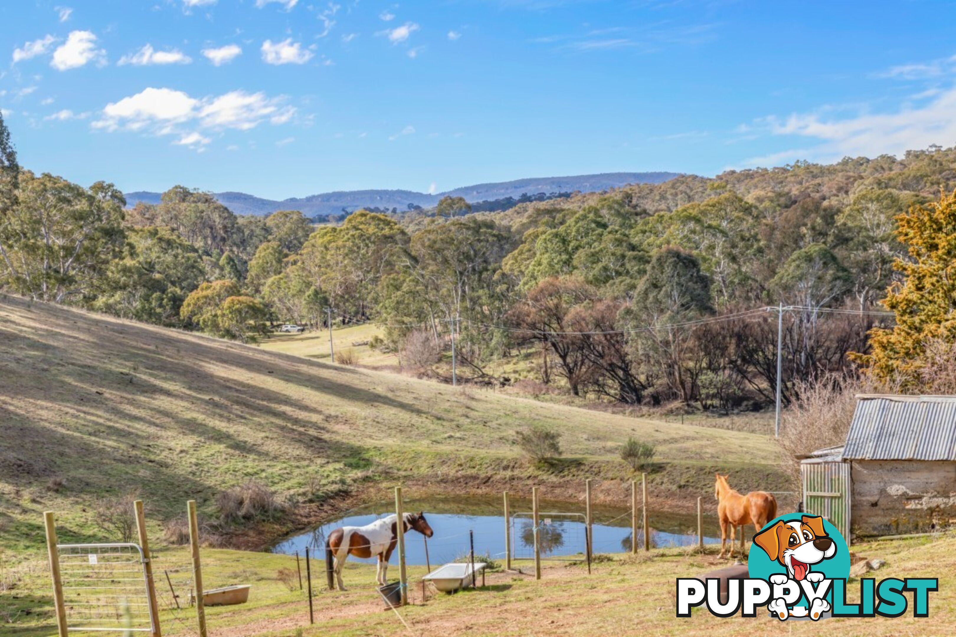 166 Williwa Creek Road PORTLAND NSW 2847