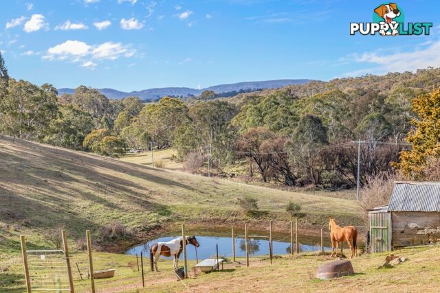 166 Williwa Creek Road PORTLAND NSW 2847