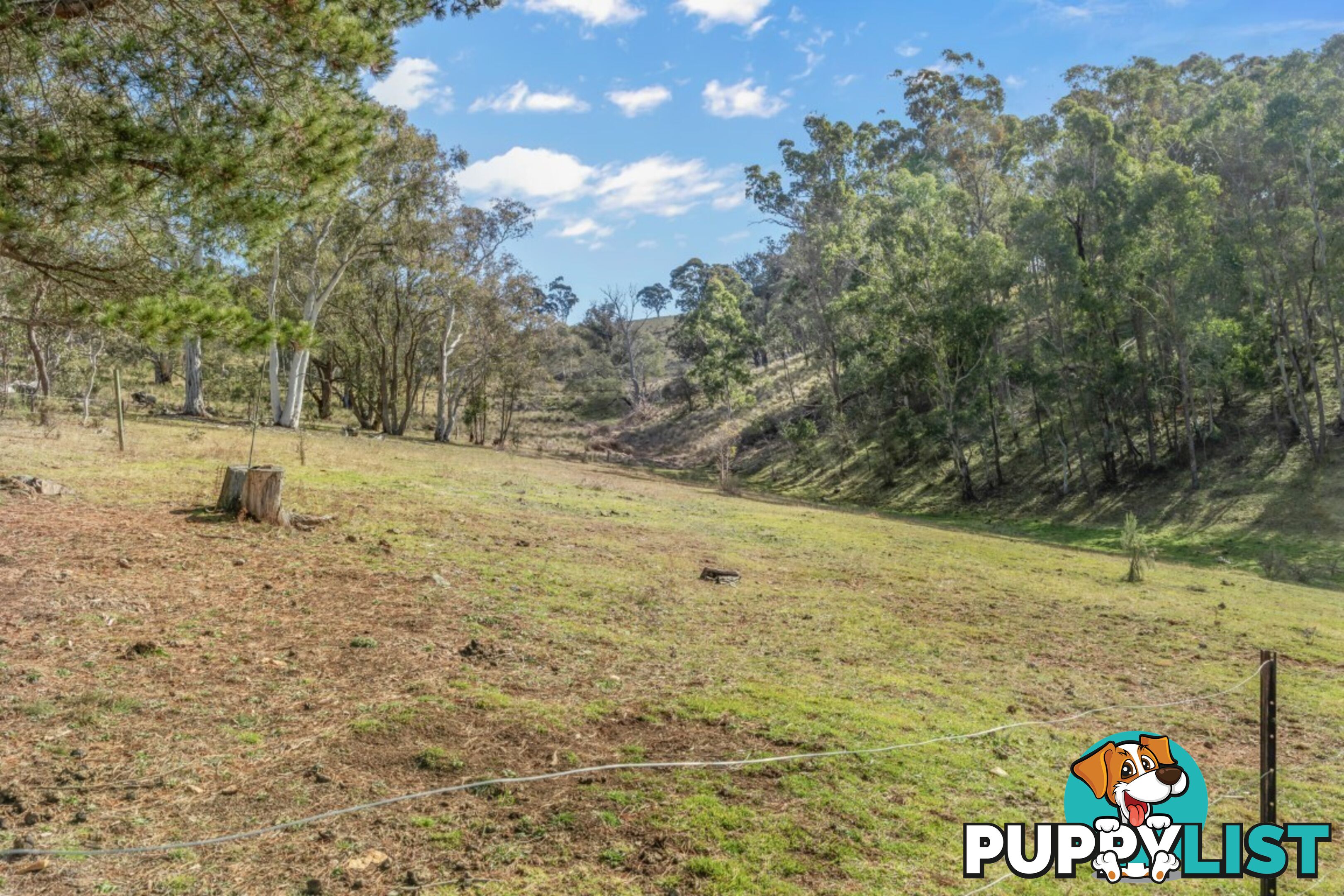 166 Williwa Creek Road PORTLAND NSW 2847