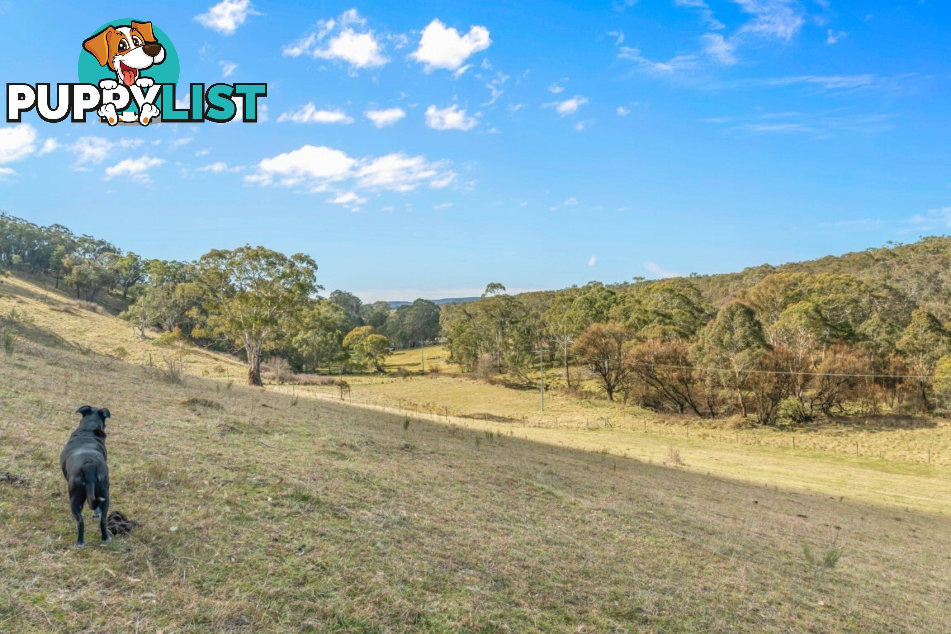 166 Williwa Creek Road PORTLAND NSW 2847