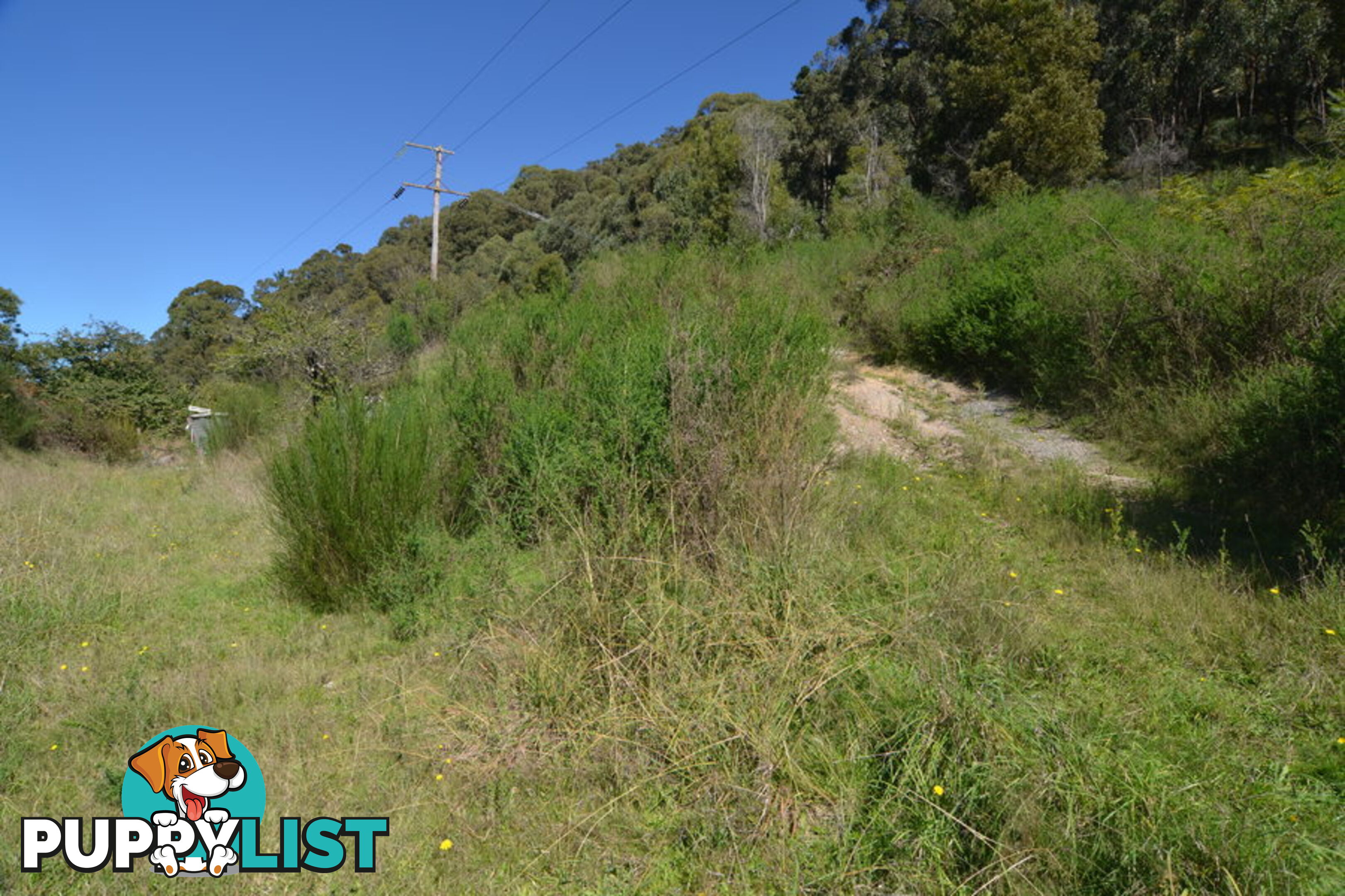 Lot 16/ Mount Street LITHGOW NSW 2790