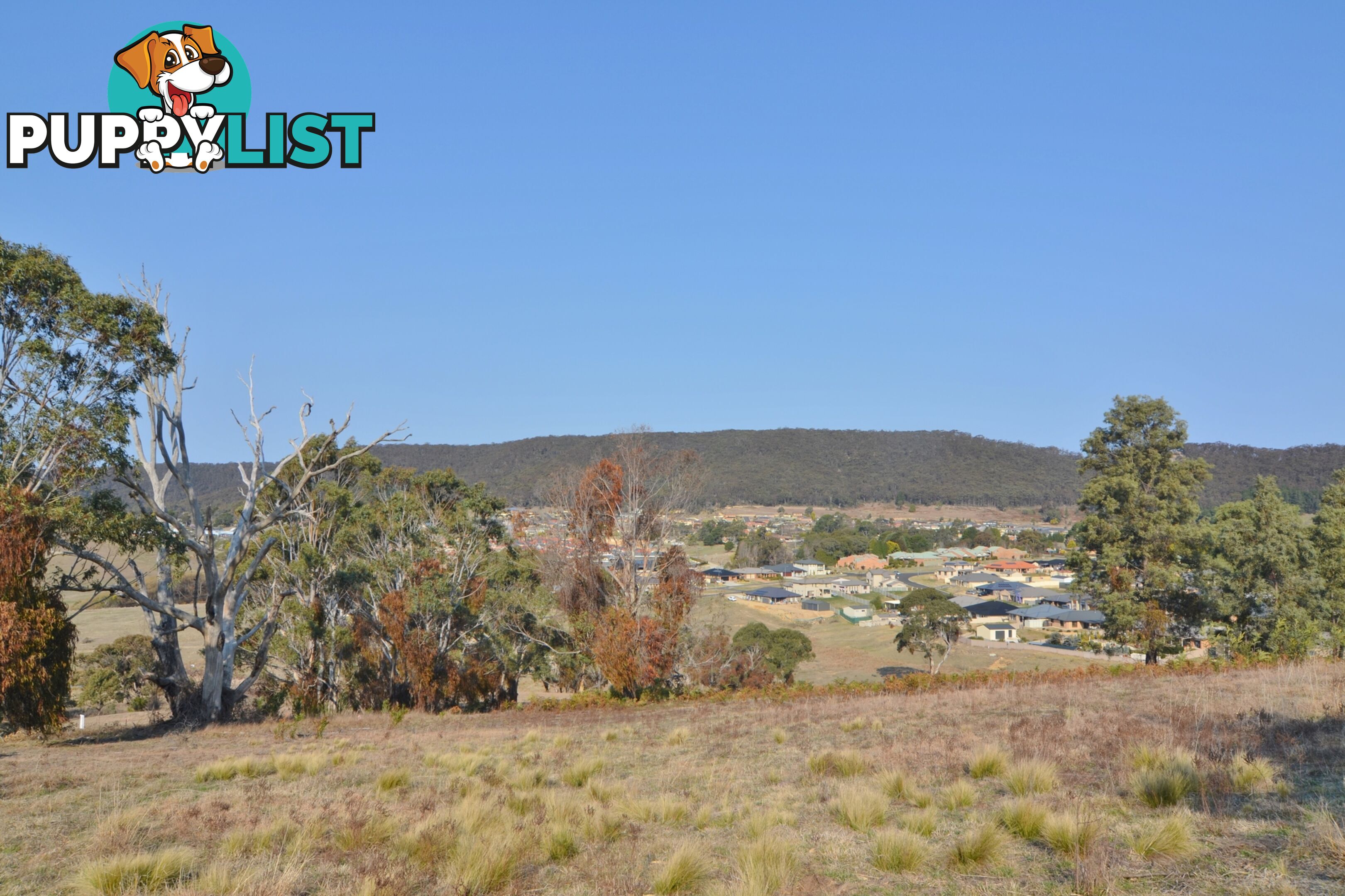 Lot 3/ Bowen Chase LITHGOW NSW 2790