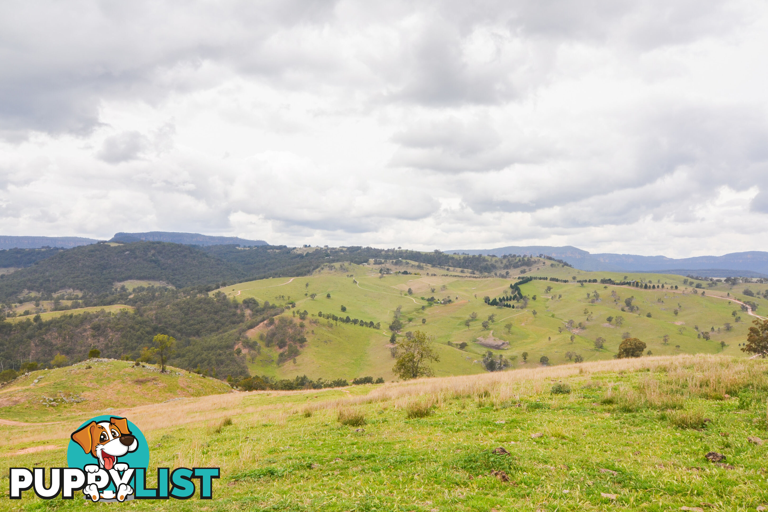 Lot 52, 91 Peach Tree Road MEGALONG VALLEY NSW 2785