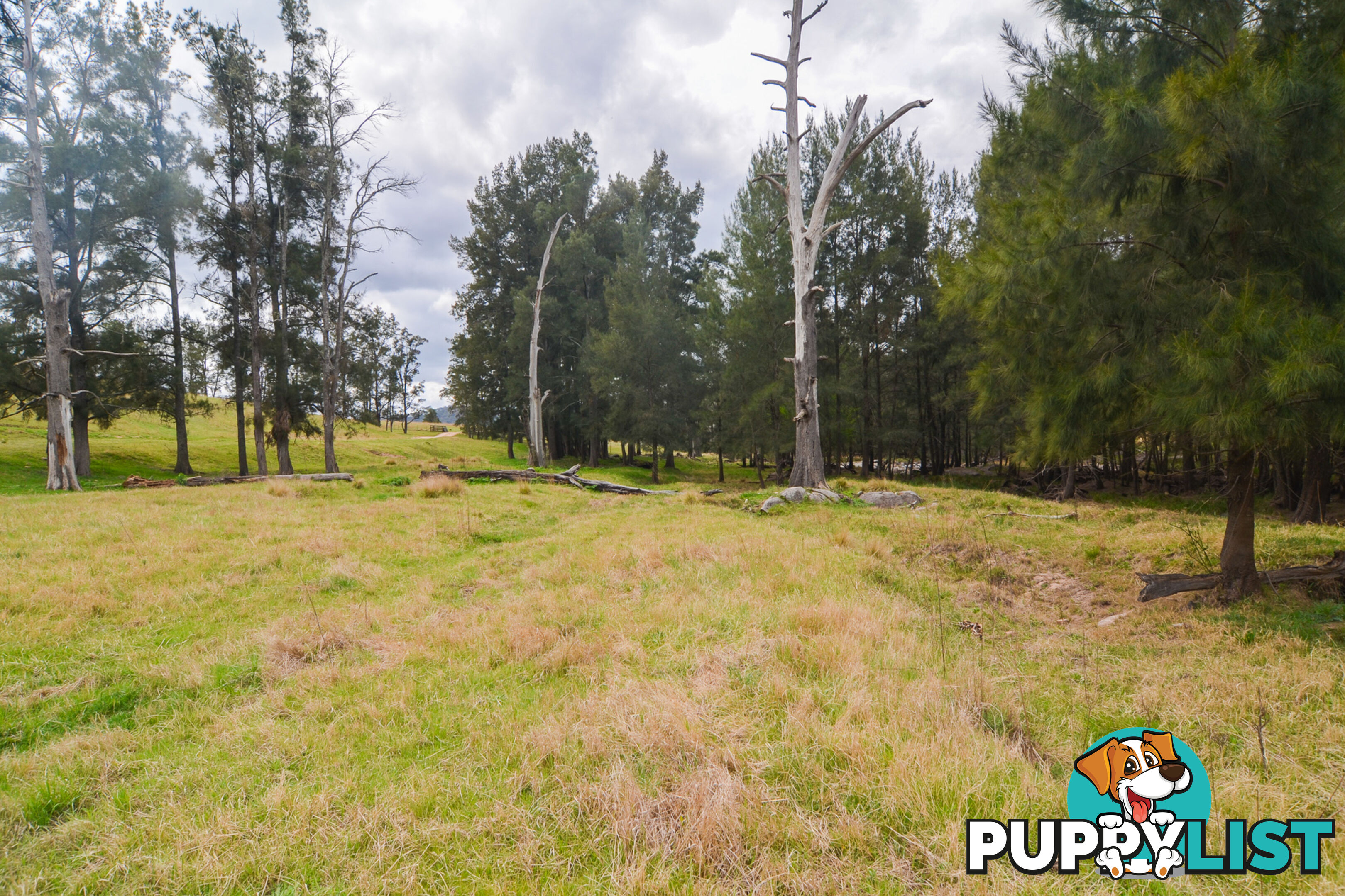 Lot 52, 91 Peach Tree Road MEGALONG VALLEY NSW 2785