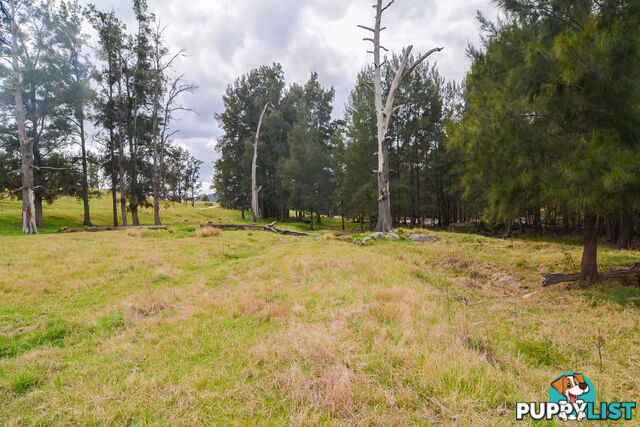 Lot 52, 91 Peach Tree Road MEGALONG VALLEY NSW 2785