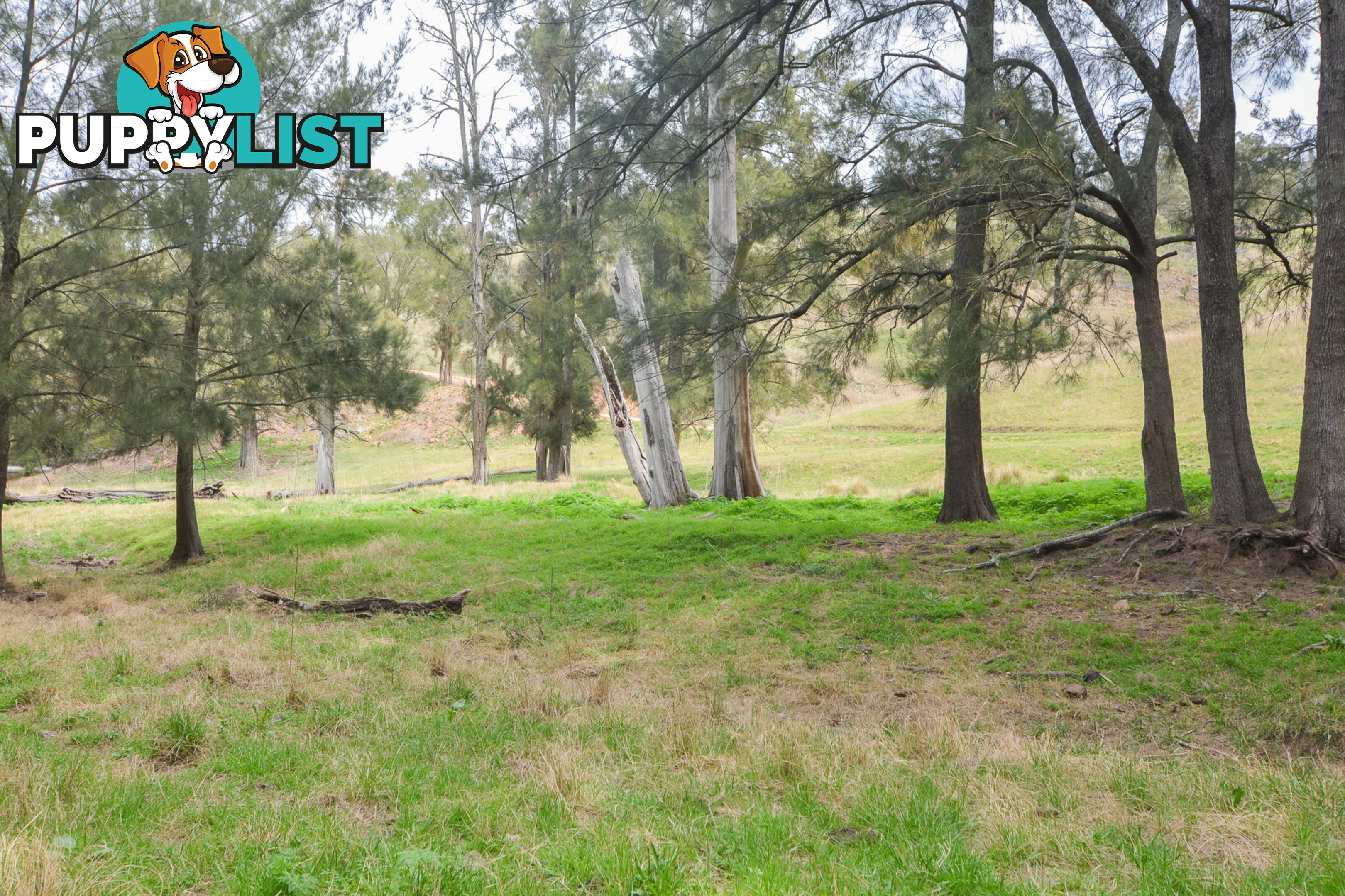 Lot 52, 91 Peach Tree Road MEGALONG VALLEY NSW 2785