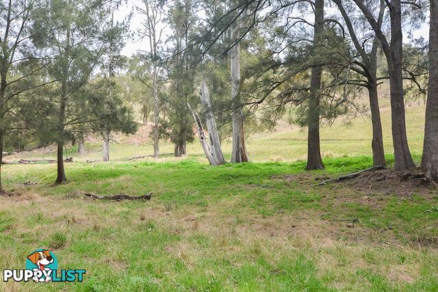 Lot 52, 91 Peach Tree Road MEGALONG VALLEY NSW 2785