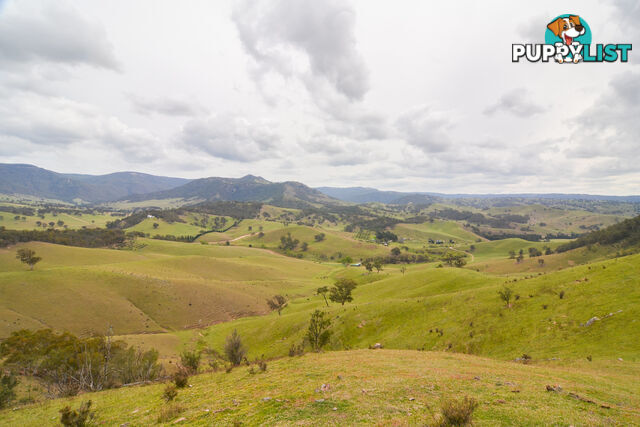 Lot 52, 91 Peach Tree Road MEGALONG VALLEY NSW 2785