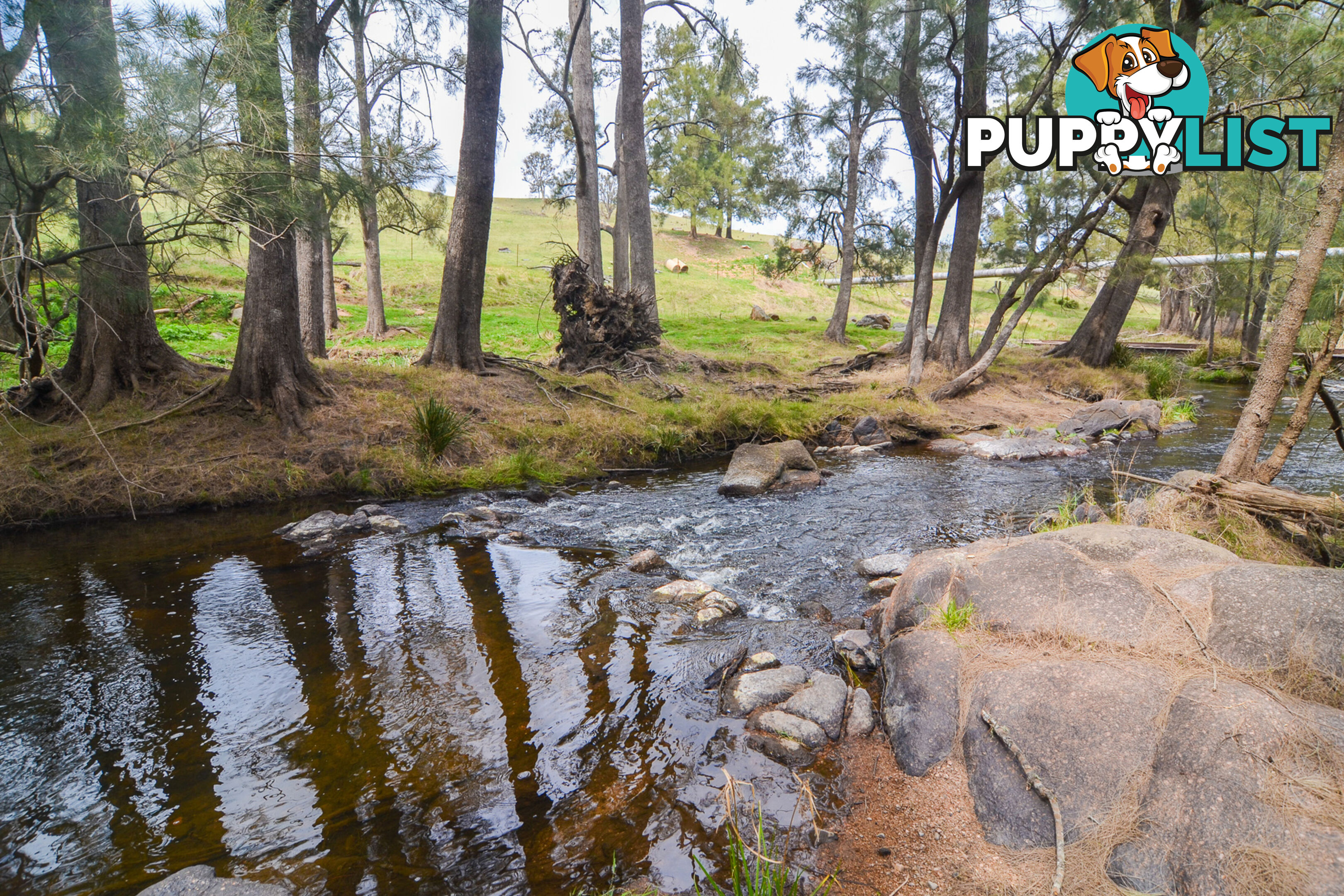 Lot 52, 91 Peach Tree Road MEGALONG VALLEY NSW 2785