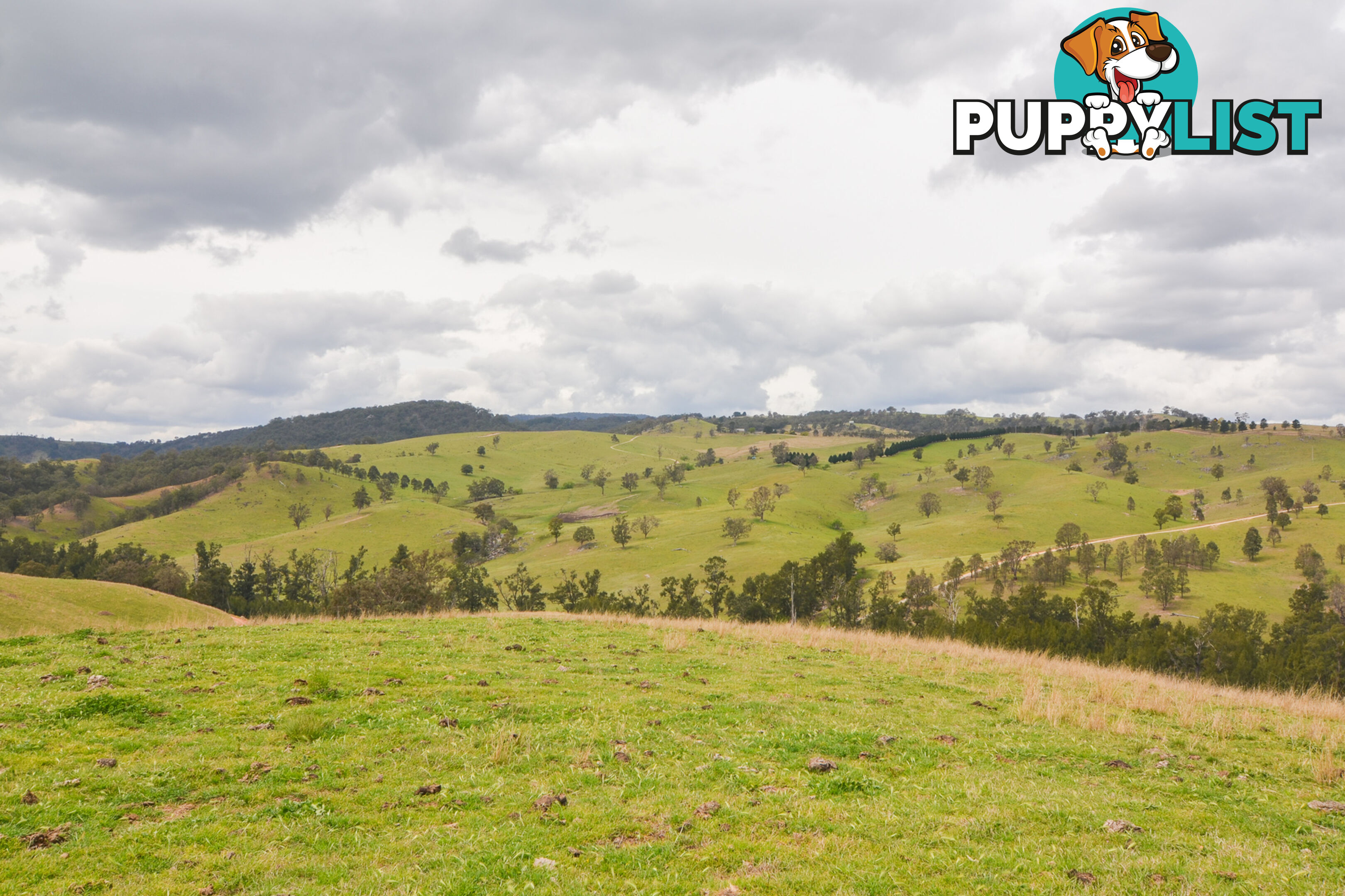 Lot 52, 91 Peach Tree Road MEGALONG VALLEY NSW 2785