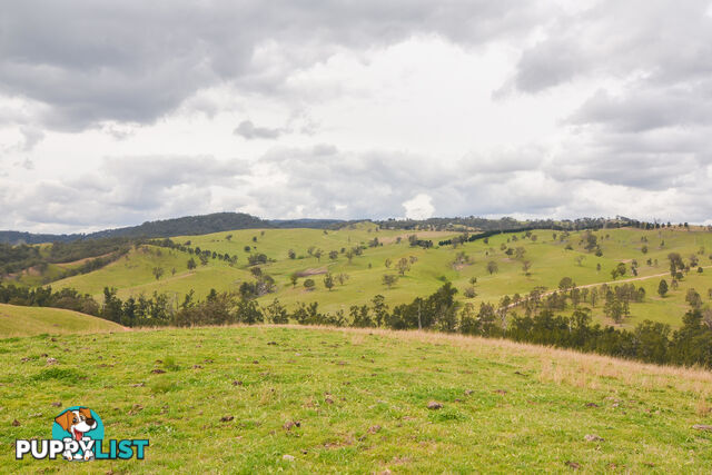 Lot 52, 91 Peach Tree Road MEGALONG VALLEY NSW 2785