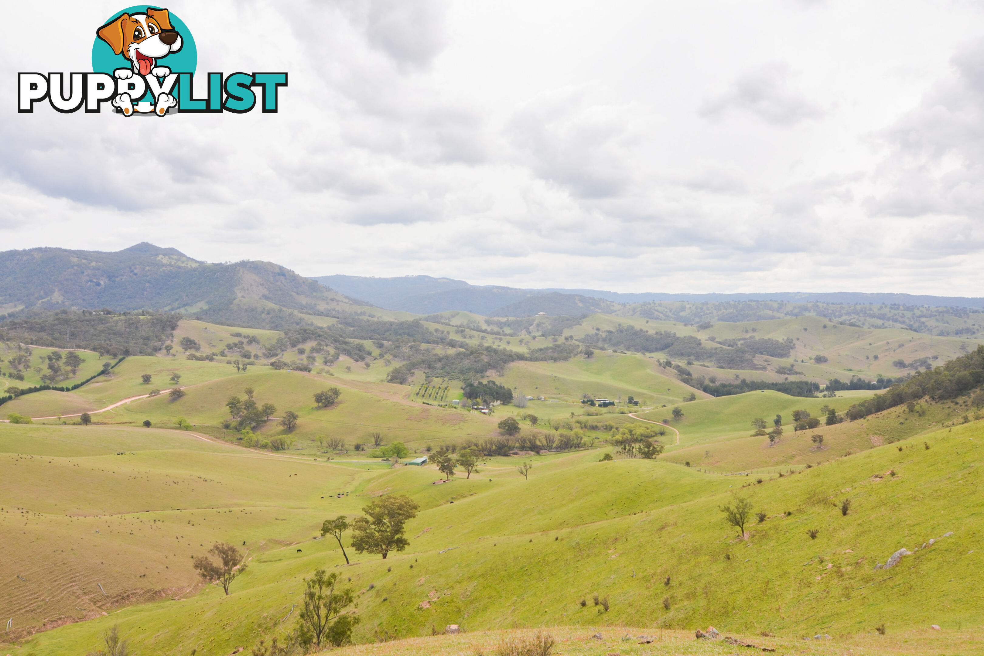 Lot 52, 91 Peach Tree Road MEGALONG VALLEY NSW 2785