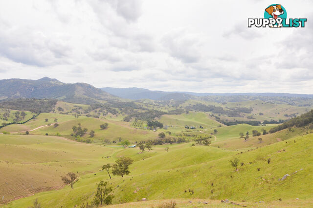 Lot 52, 91 Peach Tree Road MEGALONG VALLEY NSW 2785