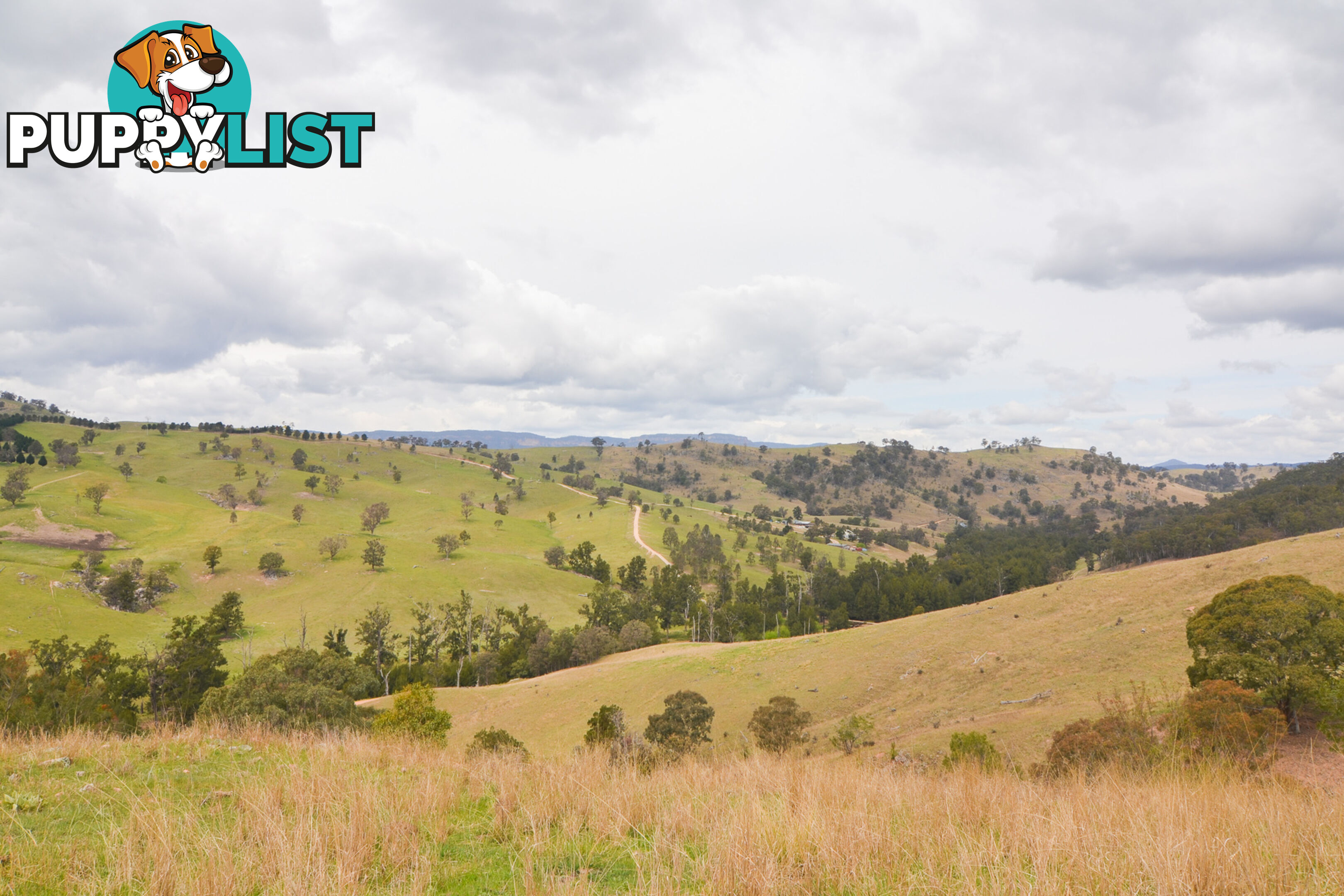 Lot 52, 91 Peach Tree Road MEGALONG VALLEY NSW 2785