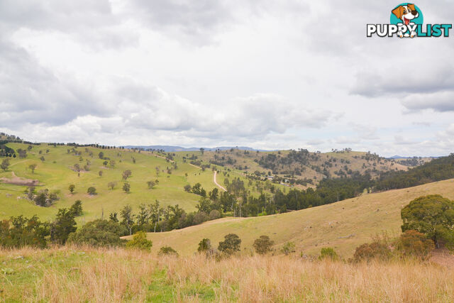 Lot 52, 91 Peach Tree Road MEGALONG VALLEY NSW 2785