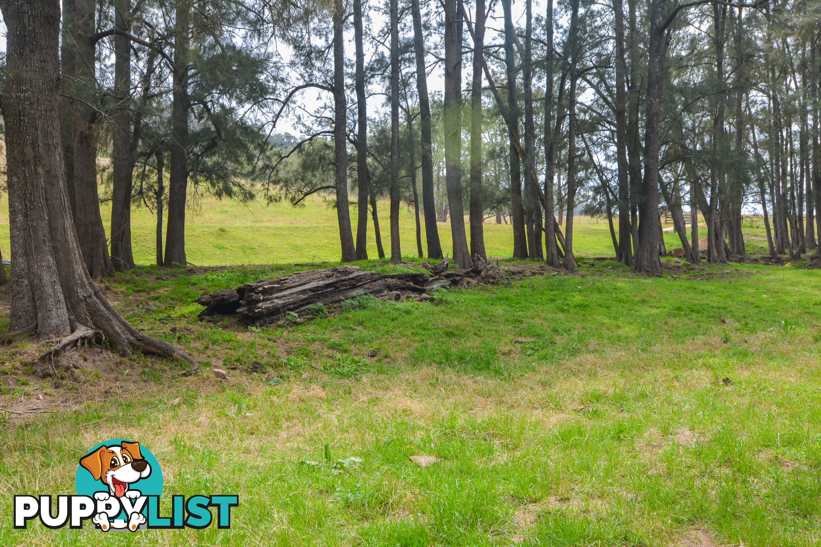 Lot 52, 91 Peach Tree Road MEGALONG VALLEY NSW 2785