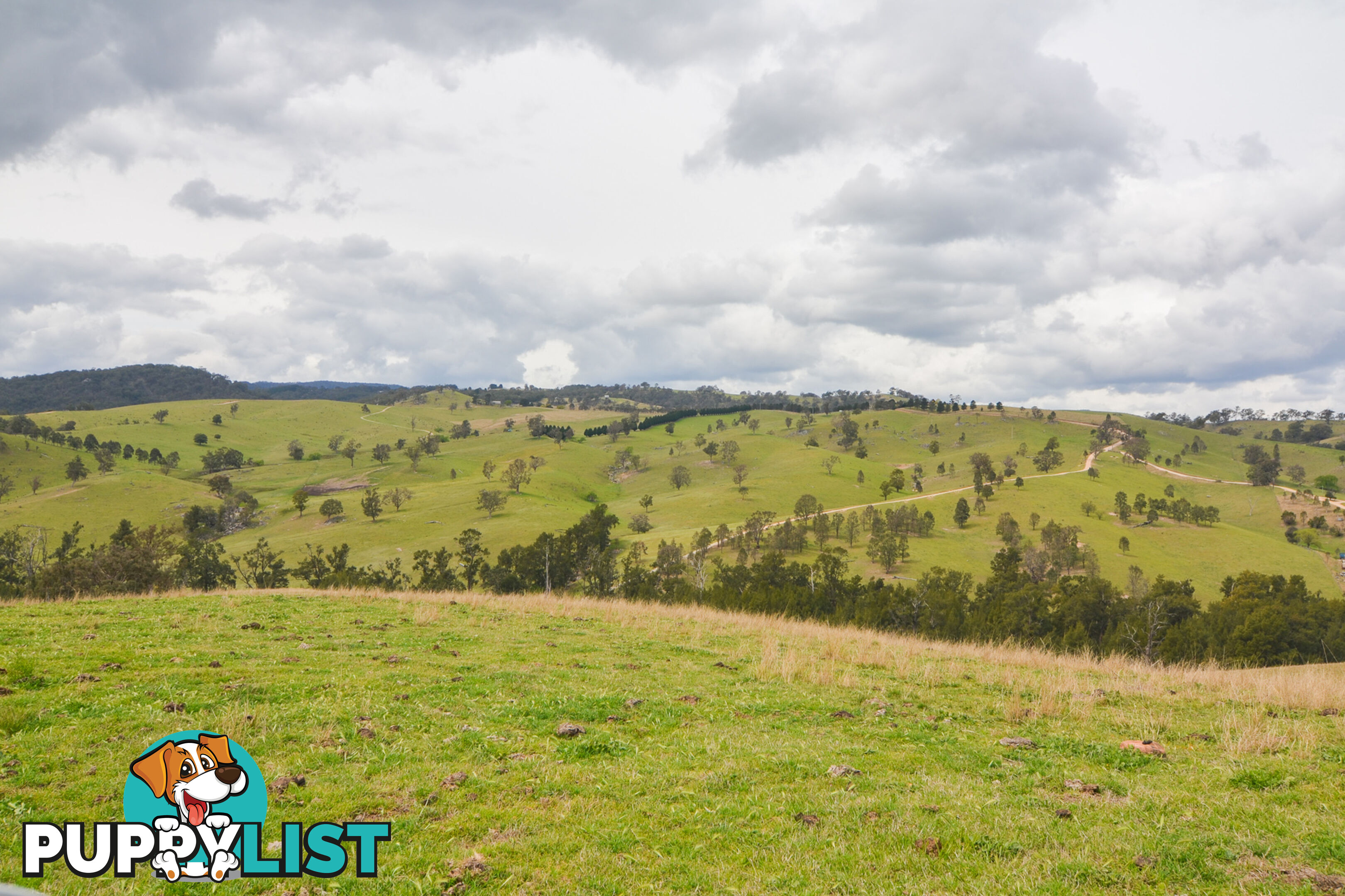 Lot 52, 91 Peach Tree Road MEGALONG VALLEY NSW 2785