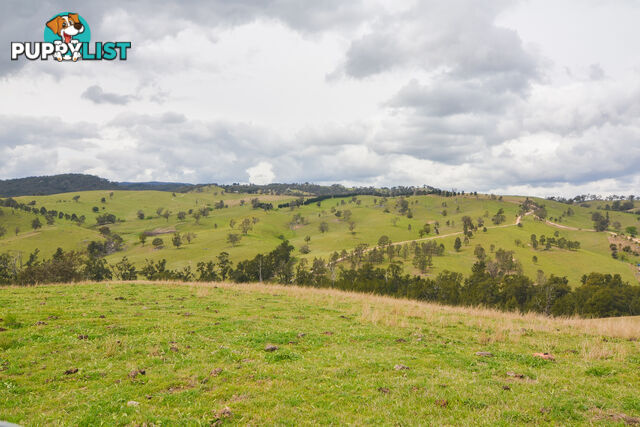 Lot 52, 91 Peach Tree Road MEGALONG VALLEY NSW 2785