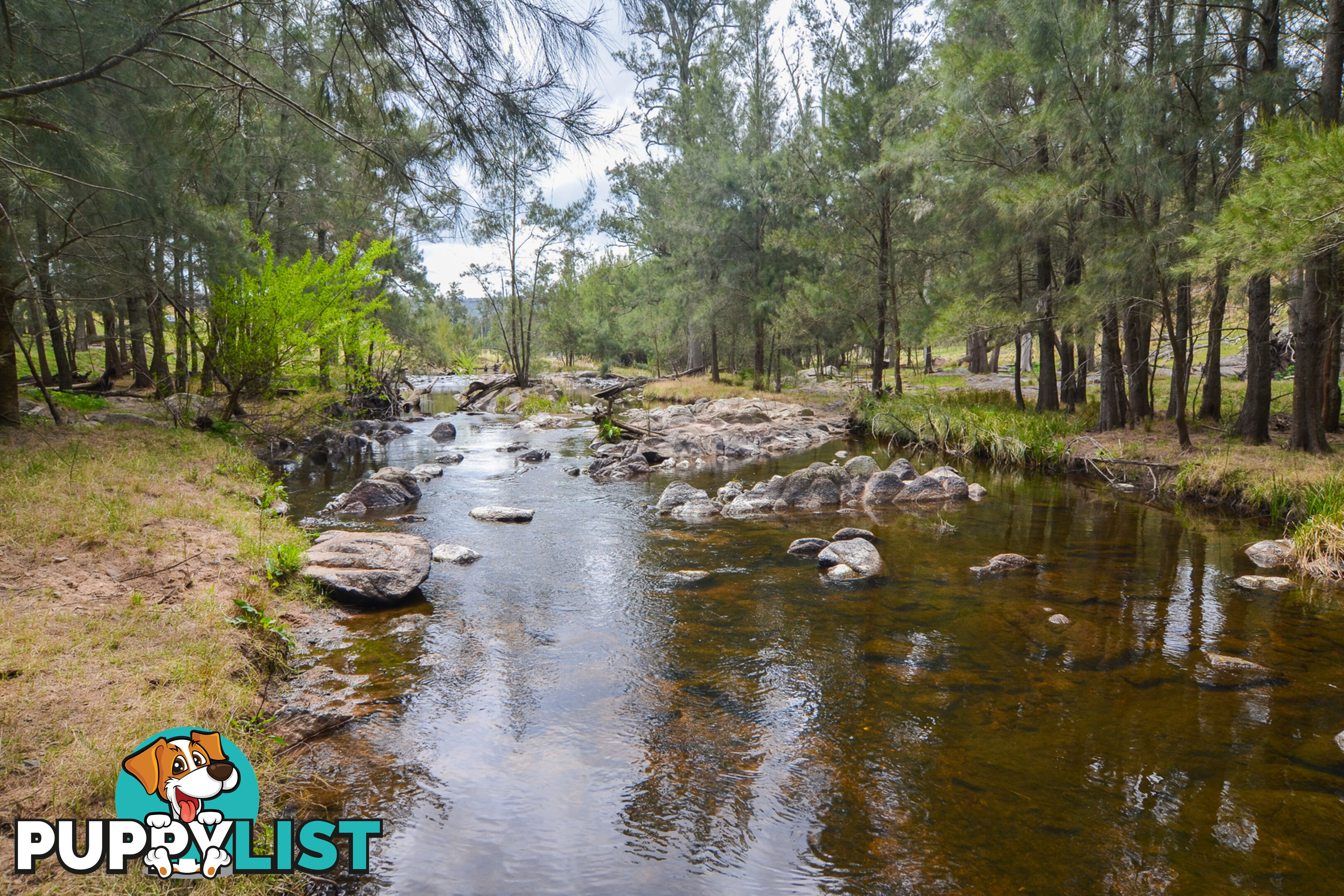 Lot 52, 91 Peach Tree Road MEGALONG VALLEY NSW 2785