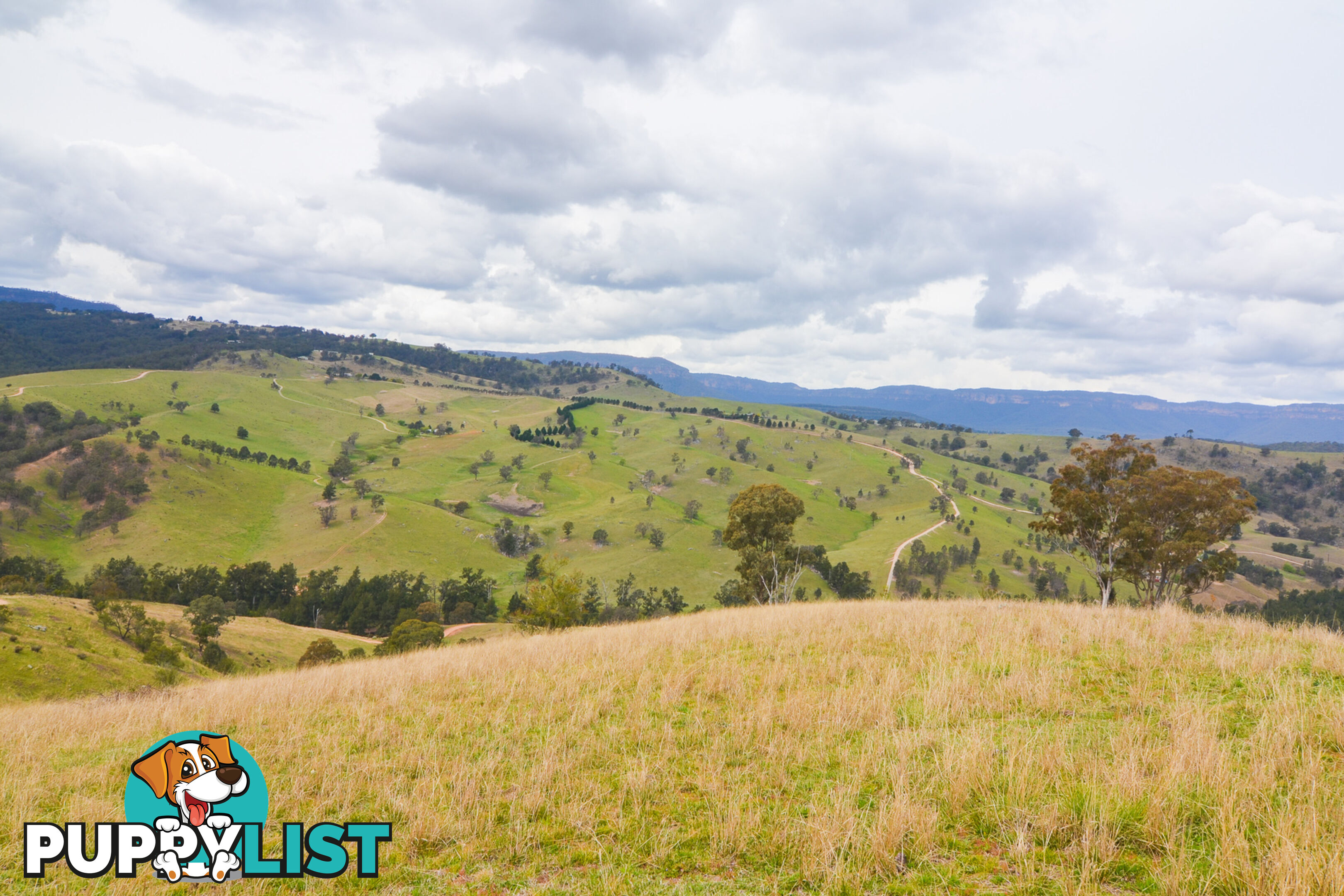 Lot 52, 91 Peach Tree Road MEGALONG VALLEY NSW 2785