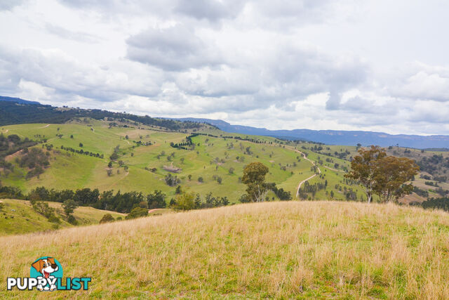 Lot 52, 91 Peach Tree Road MEGALONG VALLEY NSW 2785