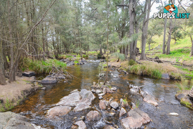 Lot 52, 91 Peach Tree Road MEGALONG VALLEY NSW 2785