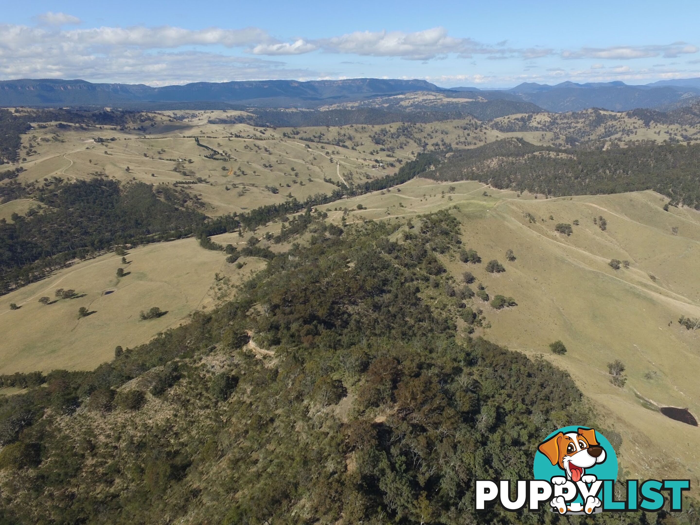 Lot 52, 91 Peach Tree Road MEGALONG VALLEY NSW 2785