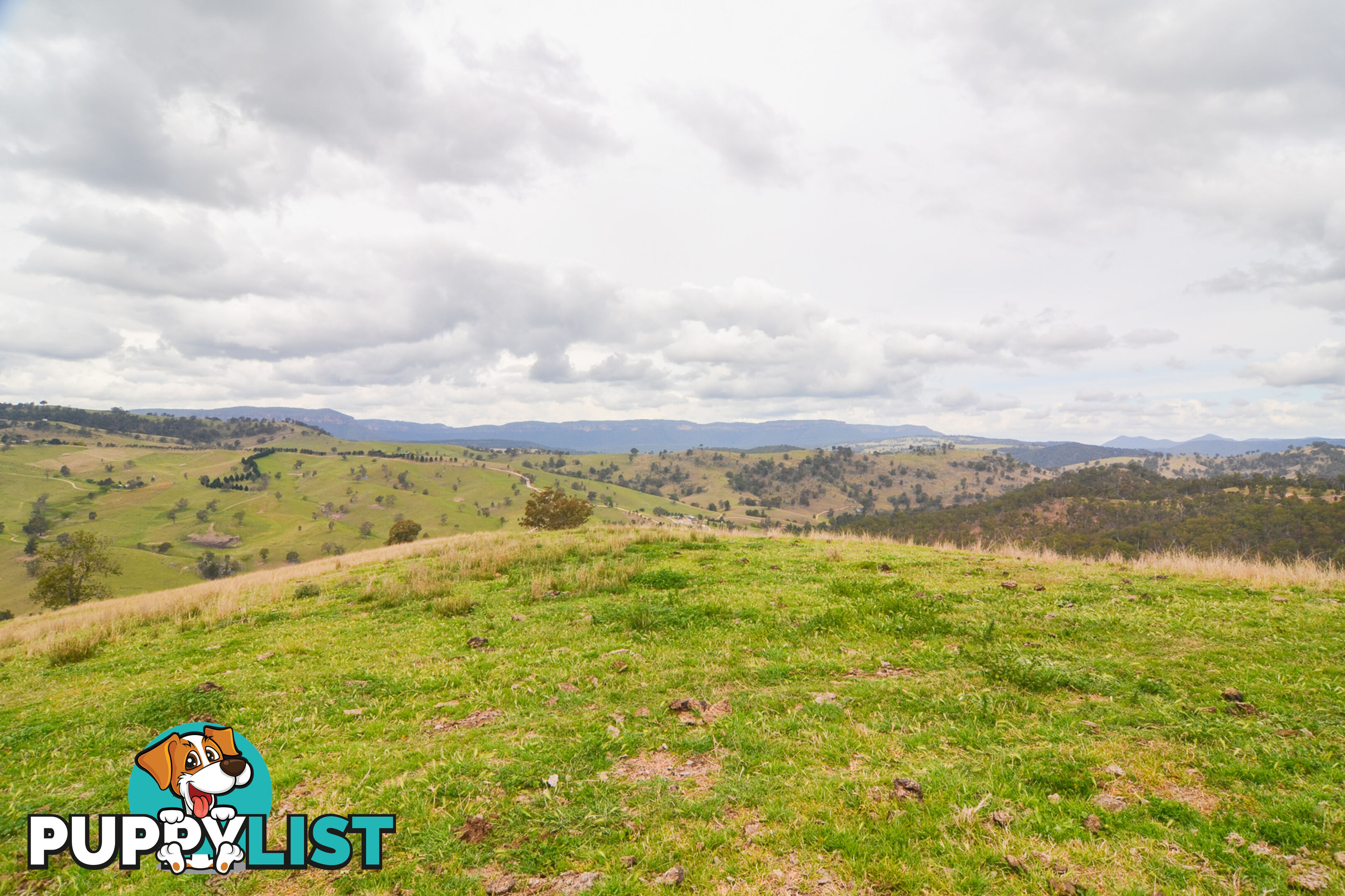 Lot 52, 91 Peach Tree Road MEGALONG VALLEY NSW 2785