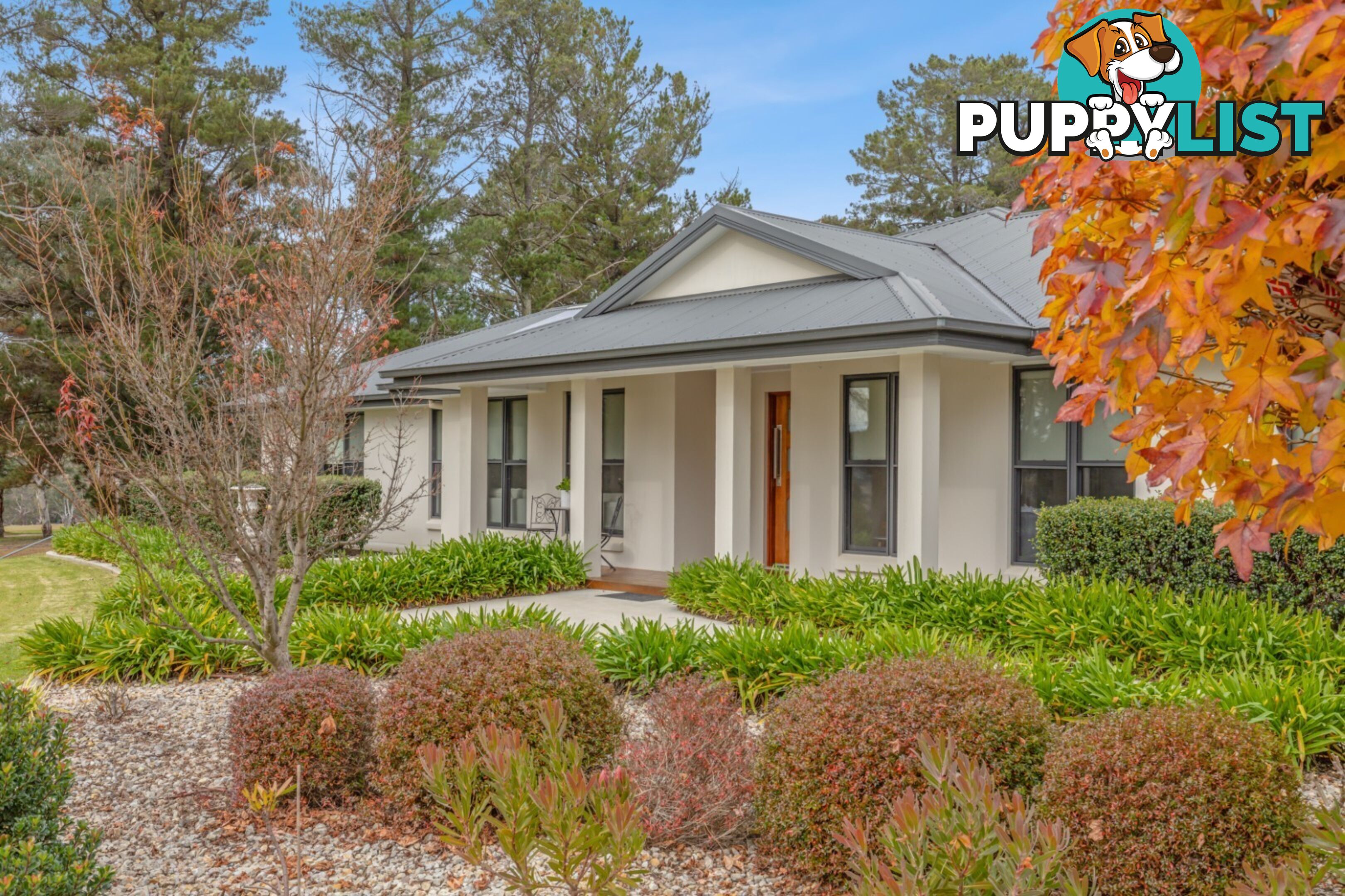 61 Oakey Forest Road MARRANGAROO NSW 2790