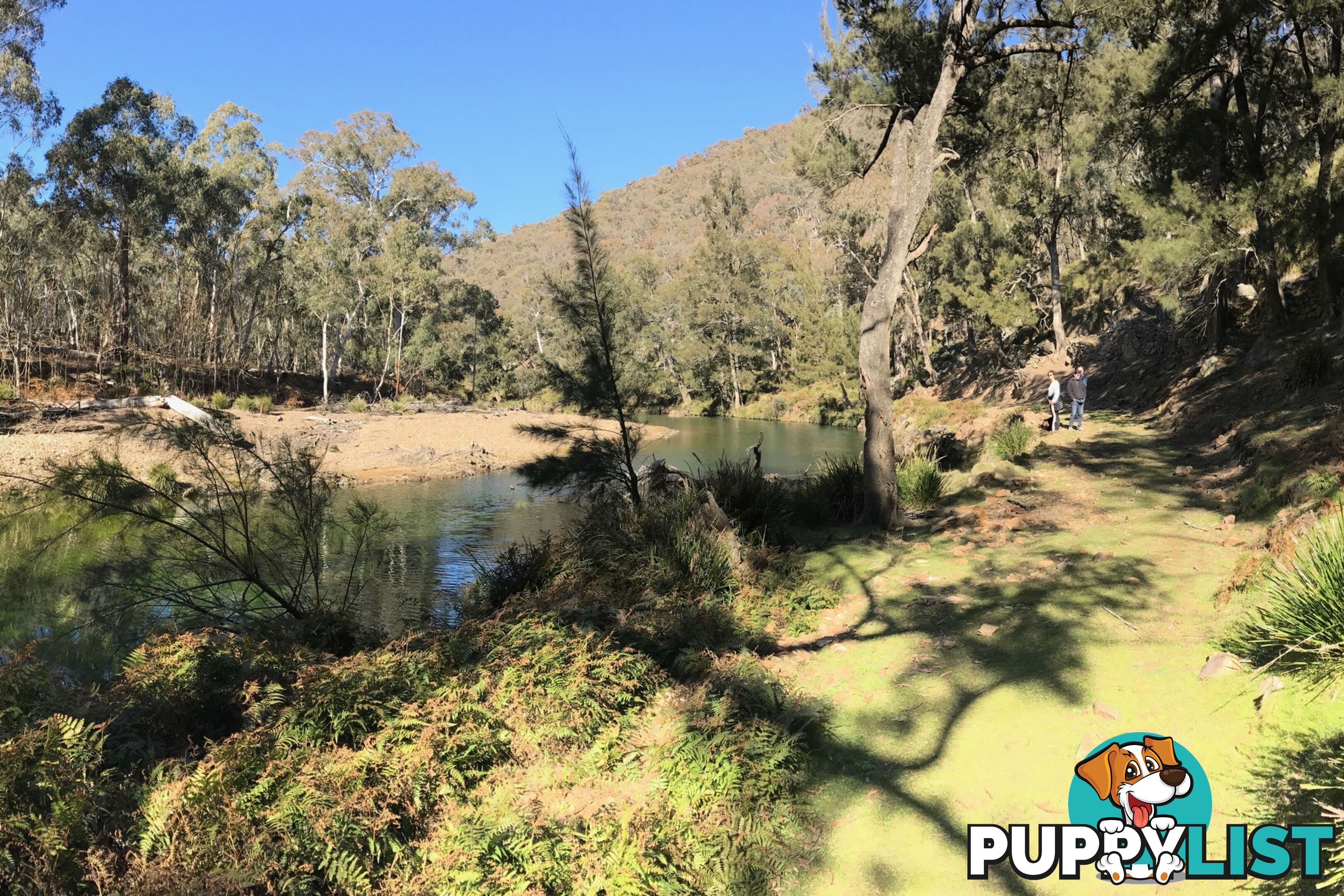 Lot 4 Upper Turon Road CAPERTEE NSW 2846