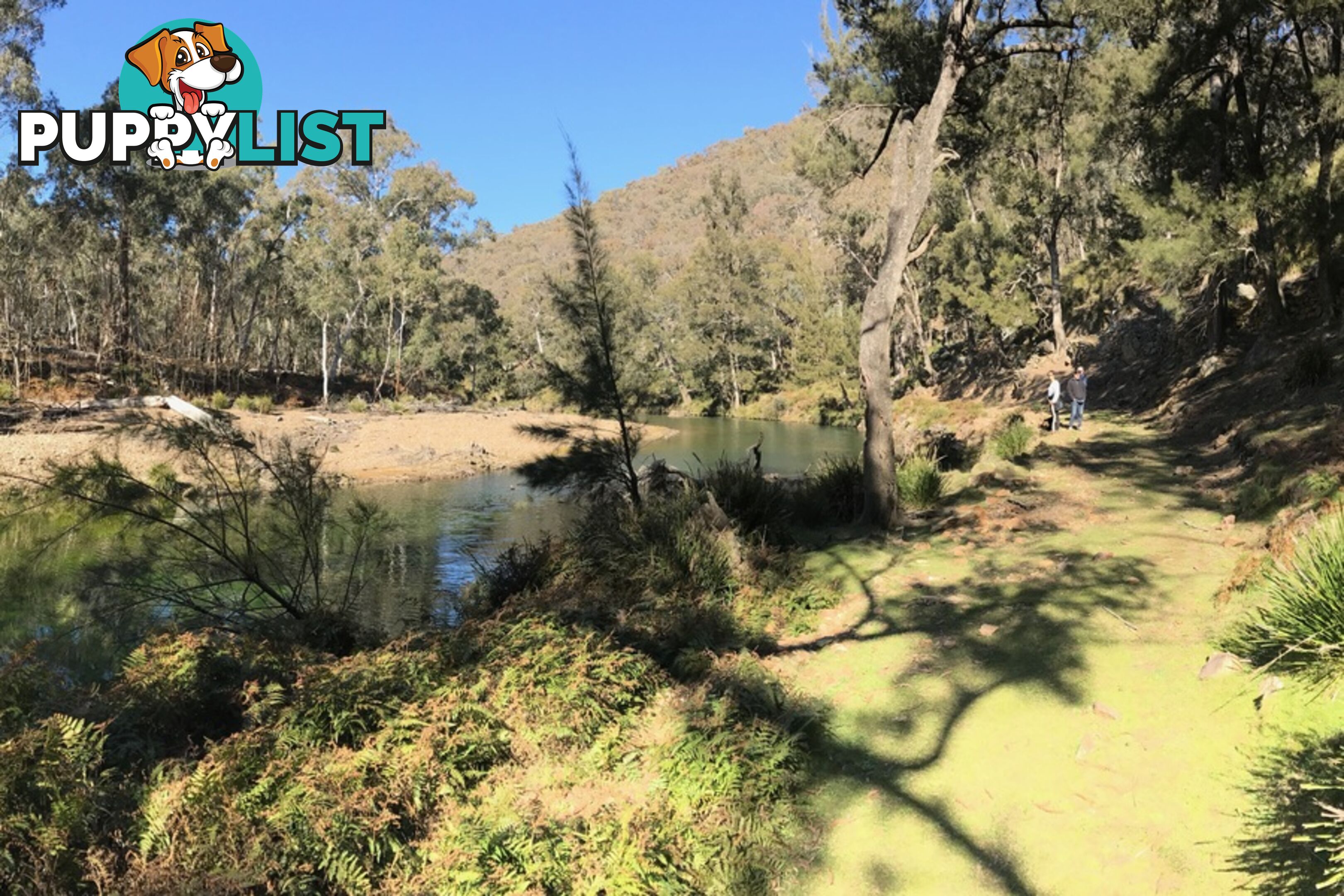 Lot 4 Upper Turon Road CAPERTEE NSW 2846